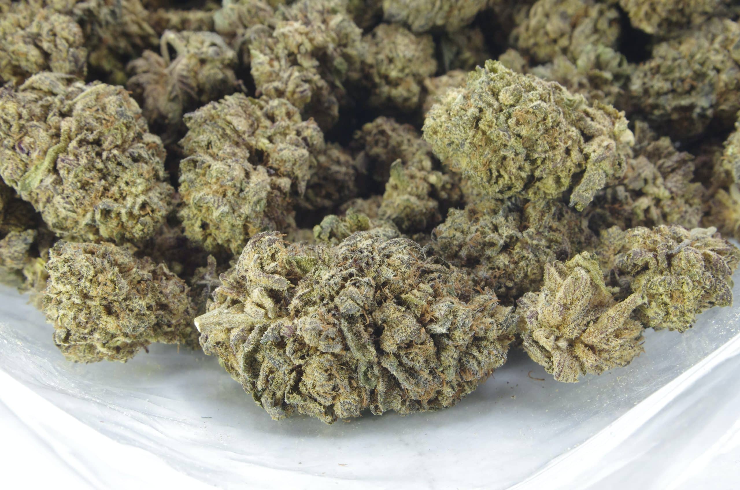 Blue Dream (Oz Special) All Strains anxiety Blue Dream (Oz Special) All Strains anxiety