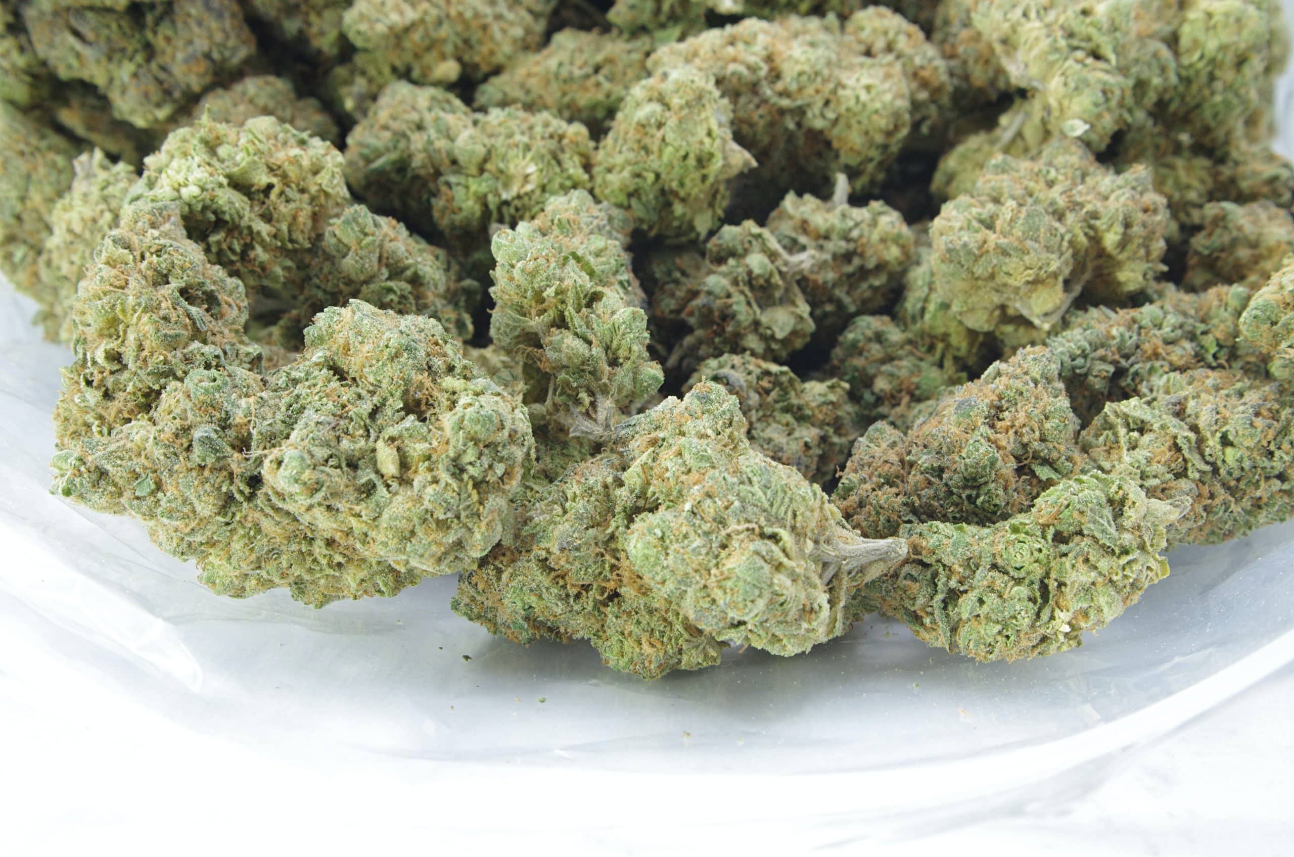 Blueberry Diesel All Strains anxiety Blueberry Diesel All Strains anxiety