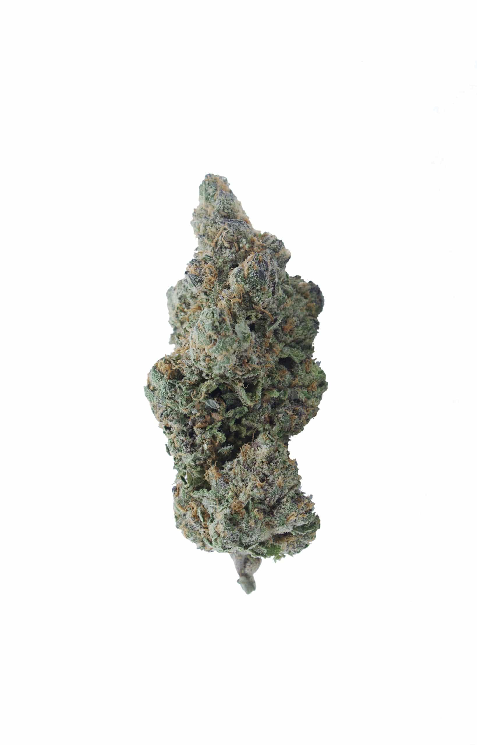 Blueberry Headband (Oz Special) All Strains anti-anxiety Blueberry Headband (Oz Special) All Strains anti-anxiety