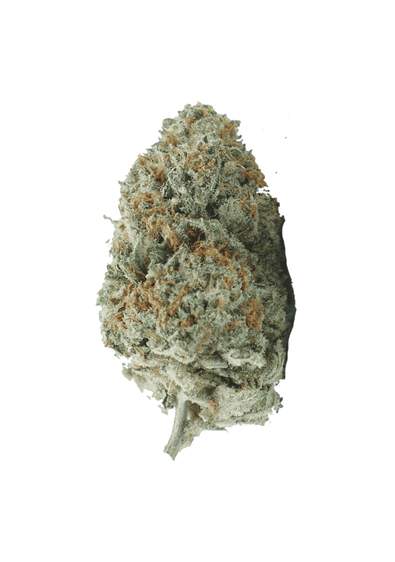 Bubba Kush (Oz Special) Indica anti-anxiety Bubba Kush (Oz Special) Indica anti-anxiety