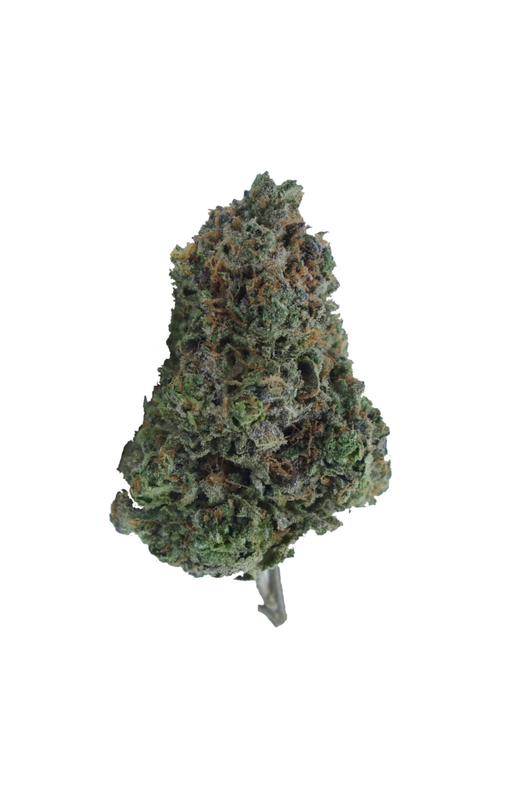 Candy Cake (Oz Special) All Strains Candy Cake (Oz Special) All Strains