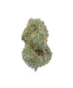 buy cannalope haze online