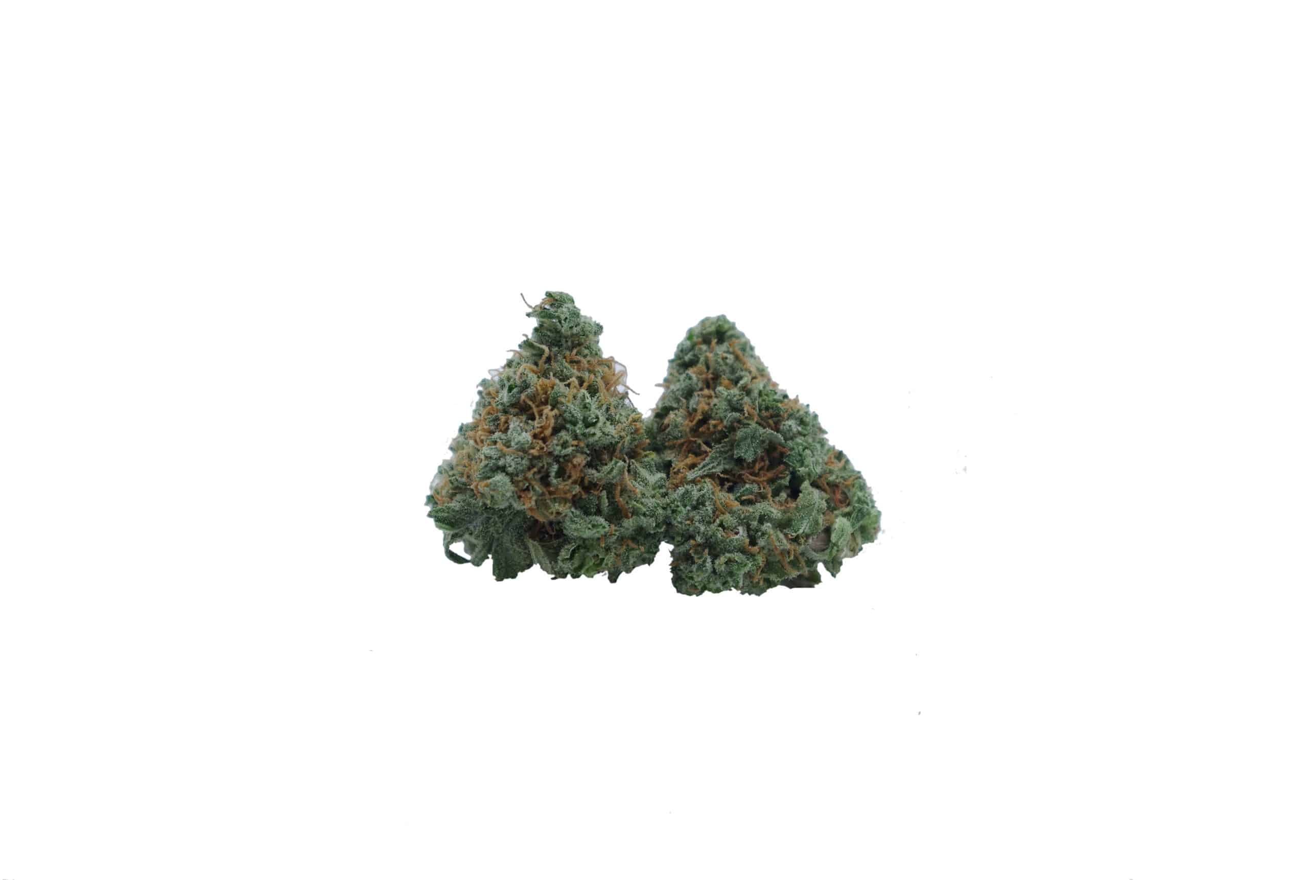 Canalope Haze Mids (Oz Special) All Strains anxiety Canalope Haze Mids (Oz Special) All Strains anxiety