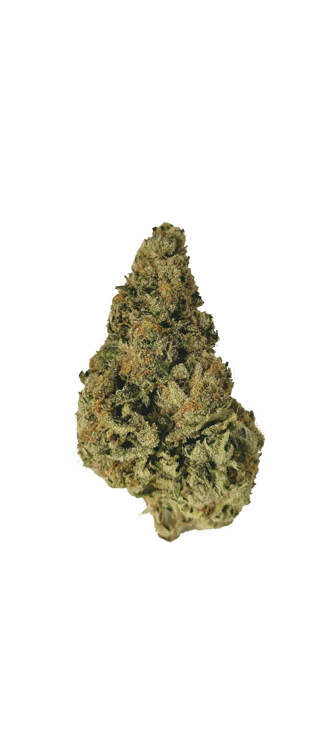 Captain’s Cake (Oz Special) Hybrid anxiety Captain’s Cake (Oz Special) Hybrid anxiety