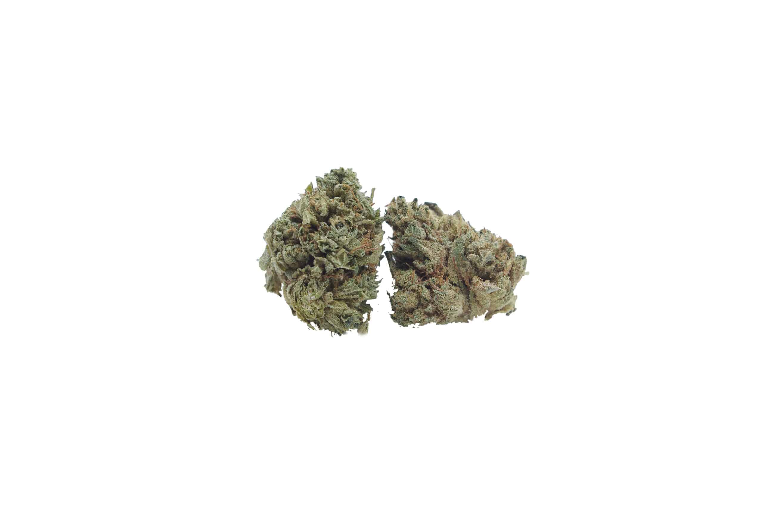 Champagne Smalls (Oz Special) Hybrid anti-anxiety Champagne Smalls (Oz Special) Hybrid anti-anxiety
