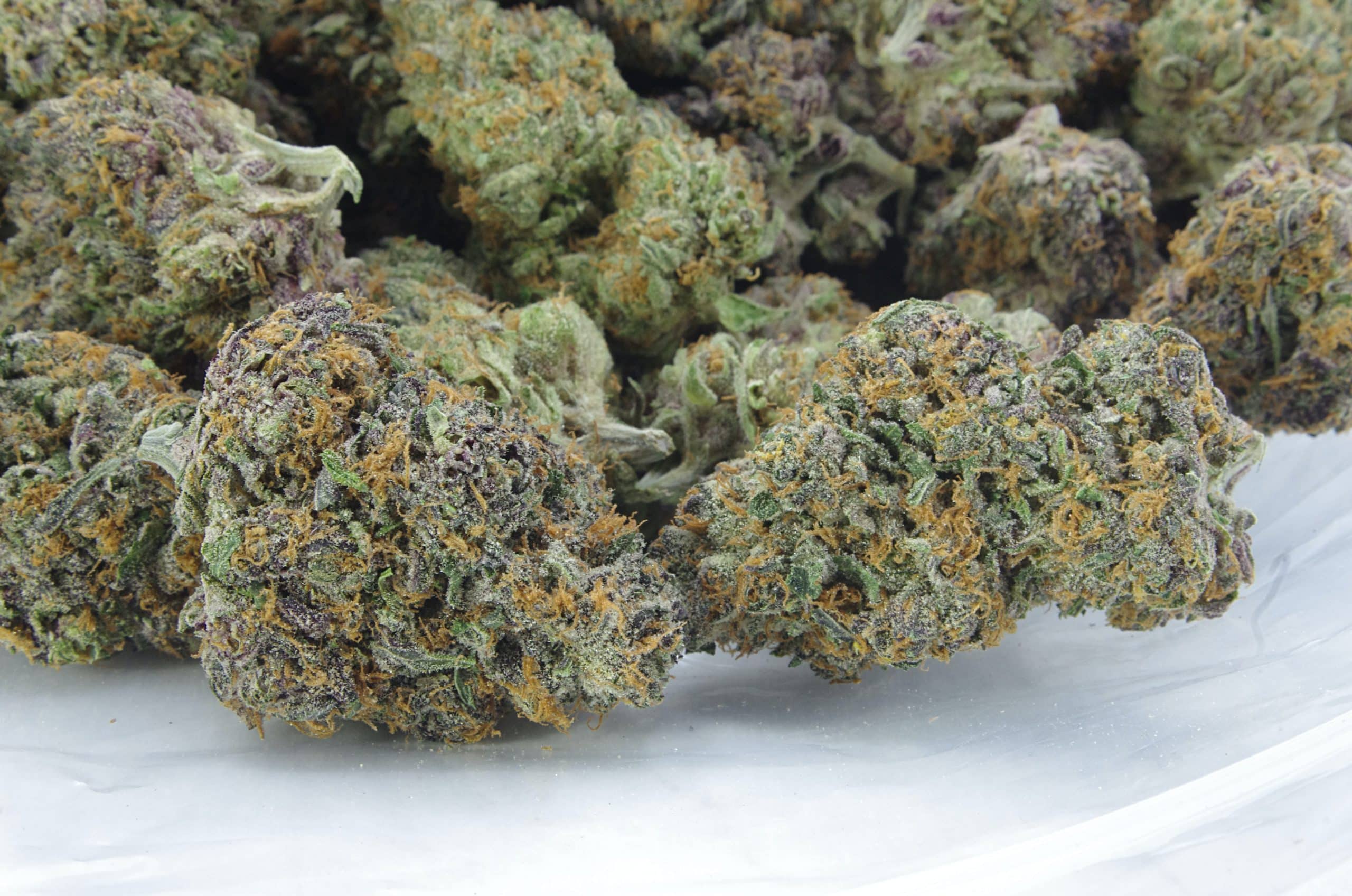 Black Cherry Cola (3.5G) All Strains anxiety Black Cherry Cola (3.5G) All Strains anxiety