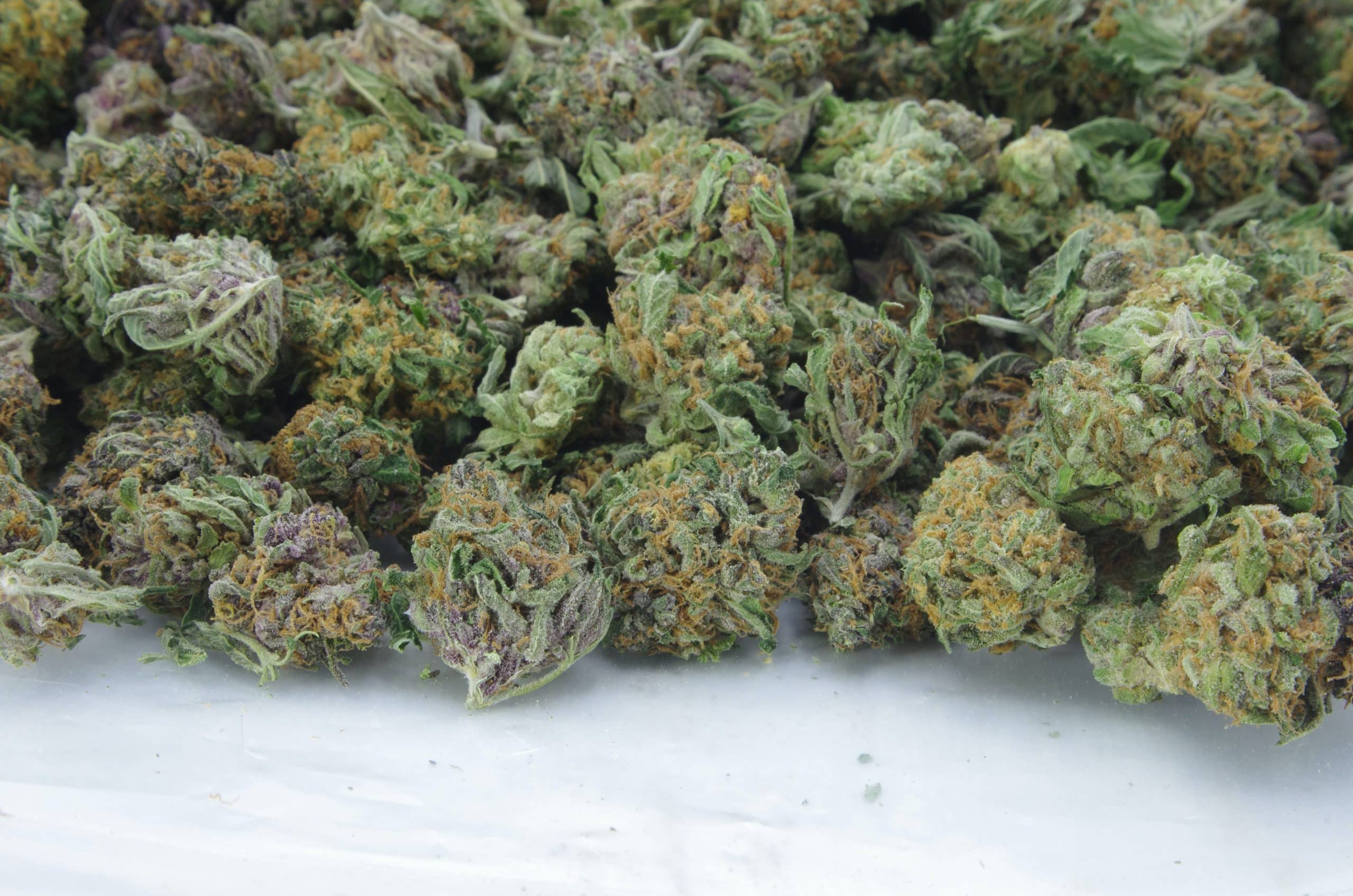 Cherry OG Smalls (Oz Special) Hybrid anxiety Cherry OG Smalls (Oz Special) Hybrid anxiety