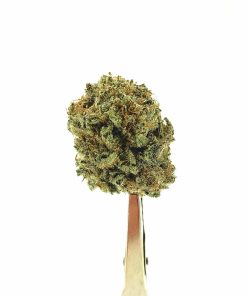 buy chocolate kush