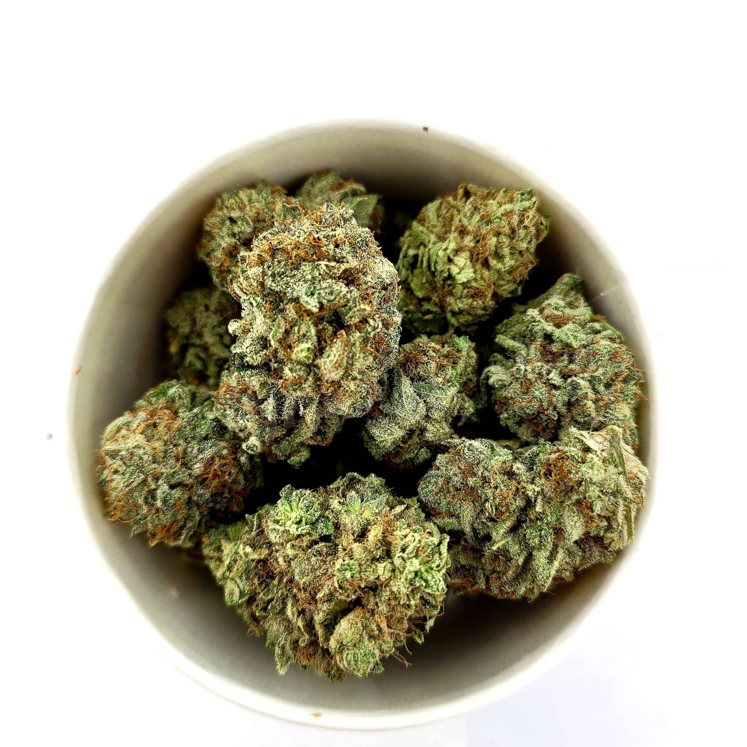 Chocolate Kush (Oz Special) Indica anxiety Chocolate Kush (Oz Special) Indica anxiety