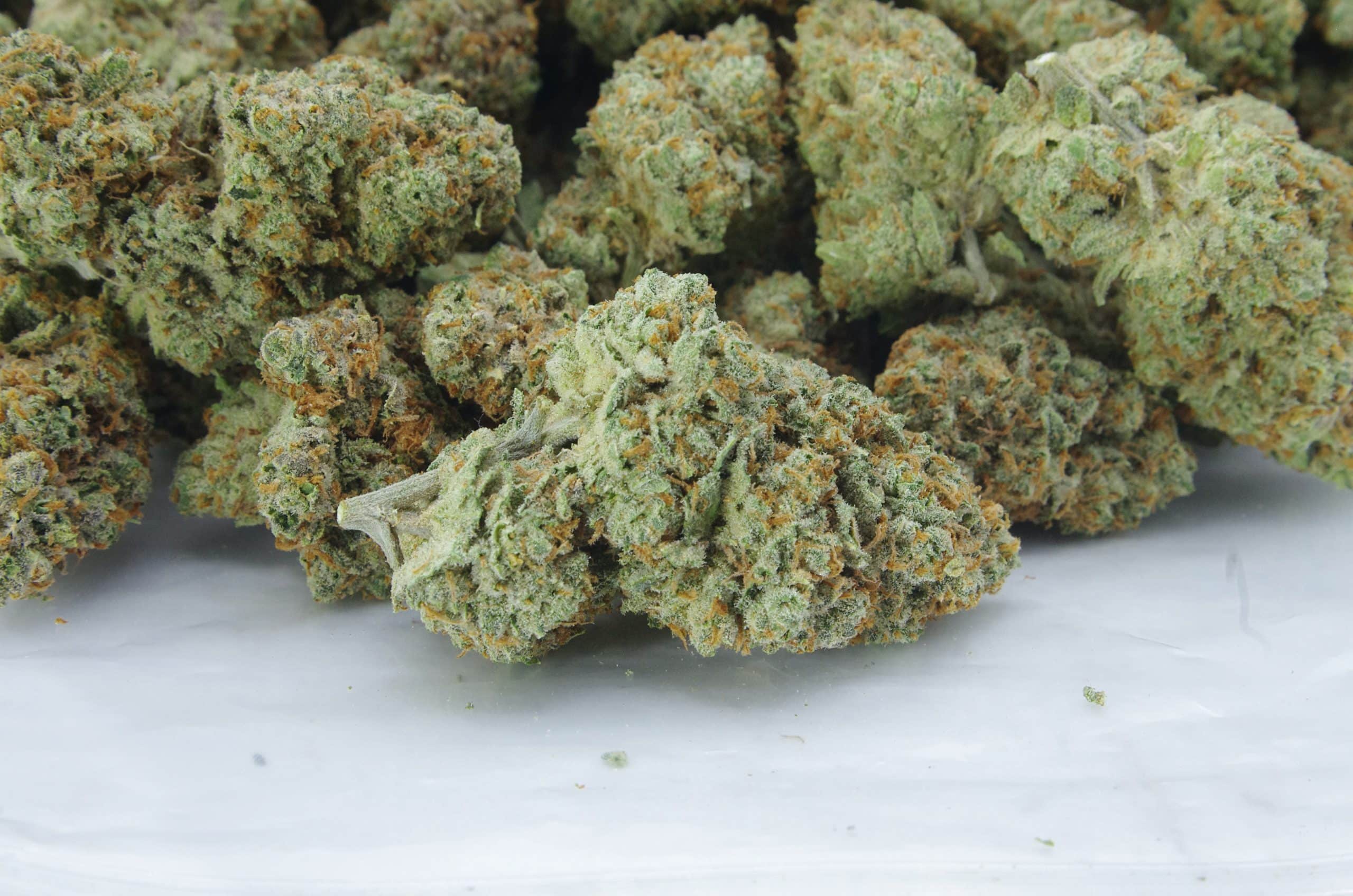 Chocolope (3.5G) Sativa Chocolope (3.5G) Sativa