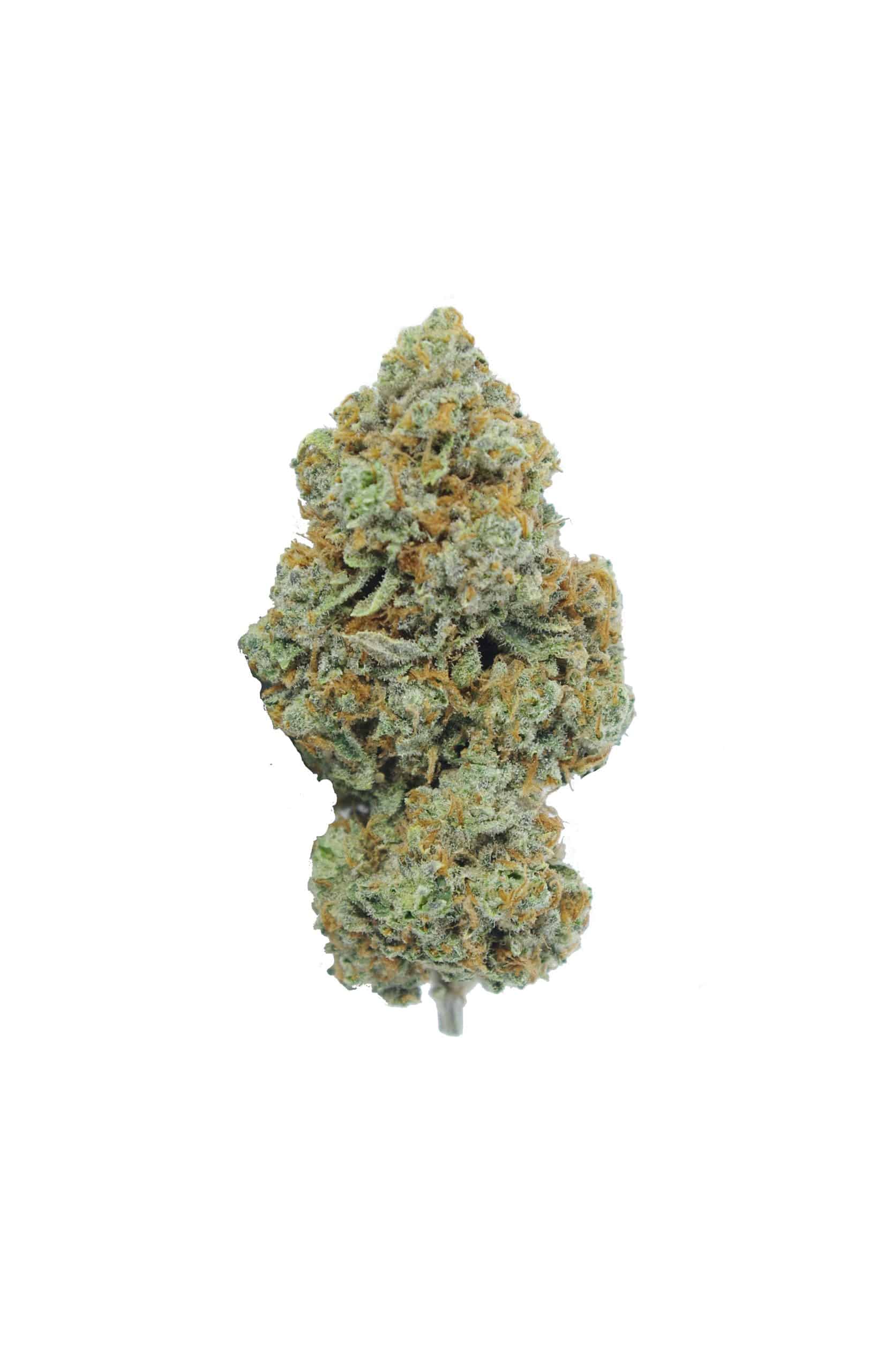 Chocolope (3.5G) Sativa Chocolope (3.5G) Sativa
