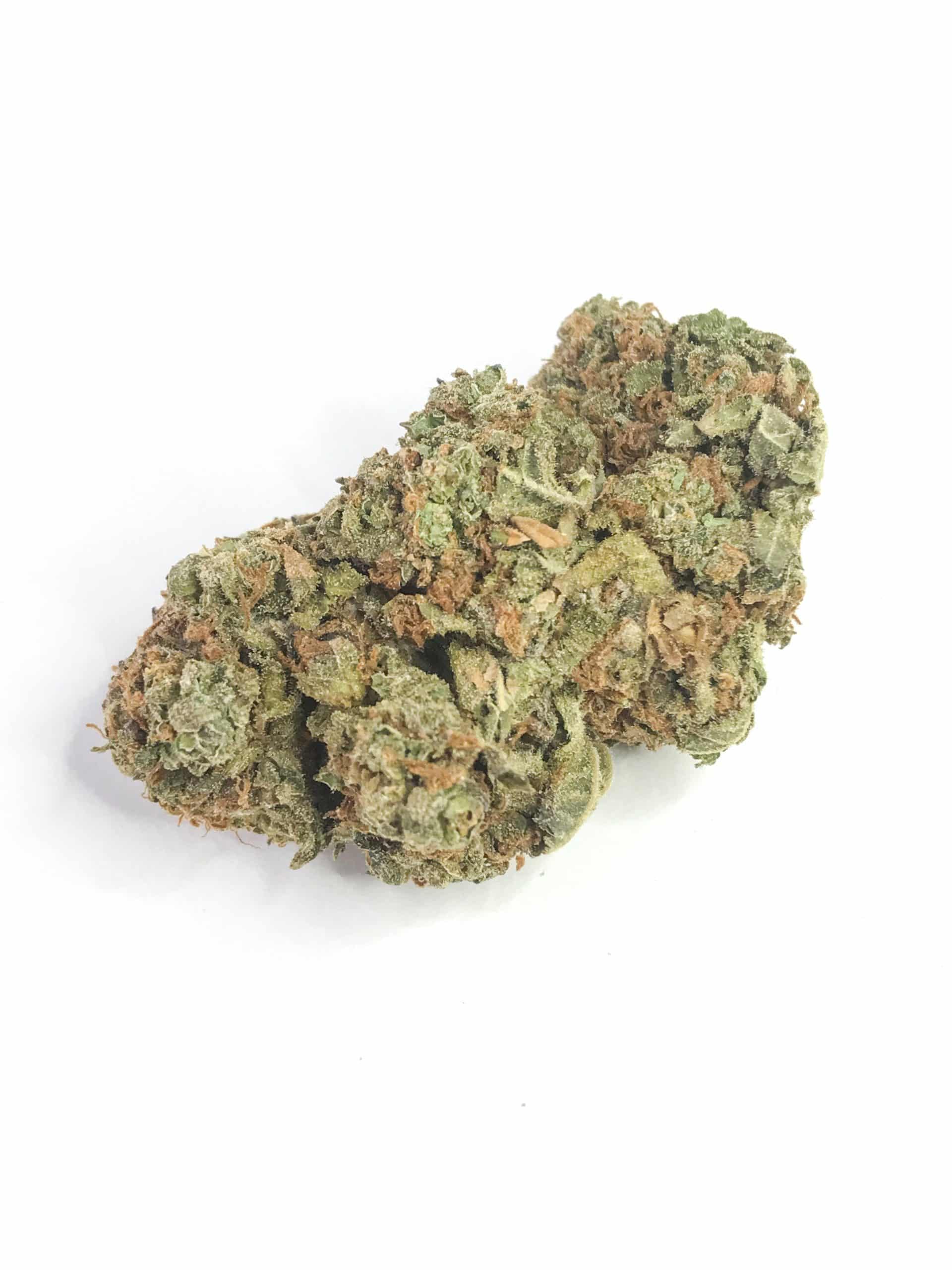 Cinderella 99 All Strains Cinderella 99 All Strains