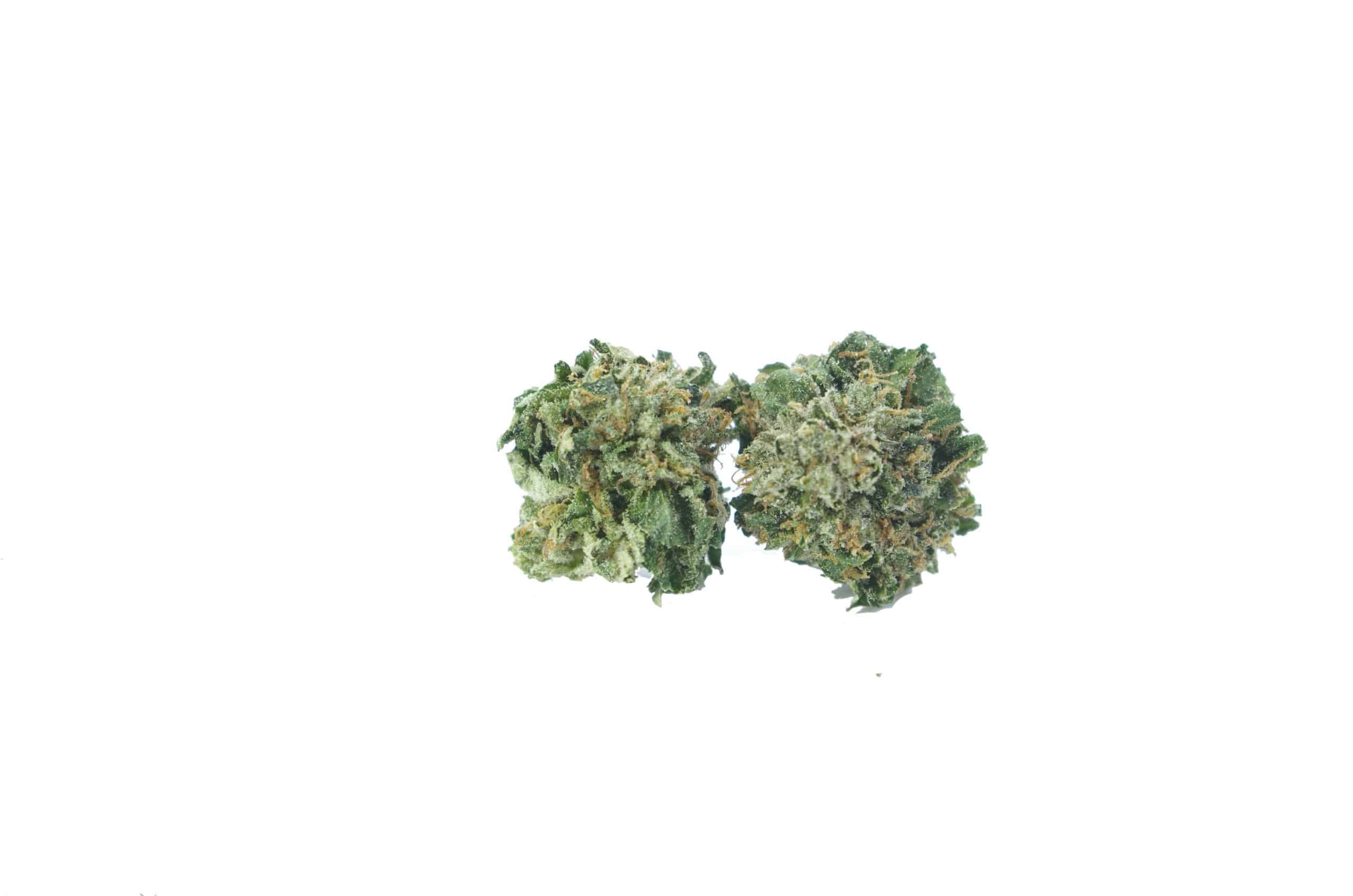 Comatose Mids (Oz Special) Indica anti-anxiety Comatose Mids (Oz Special) Indica anti-anxiety