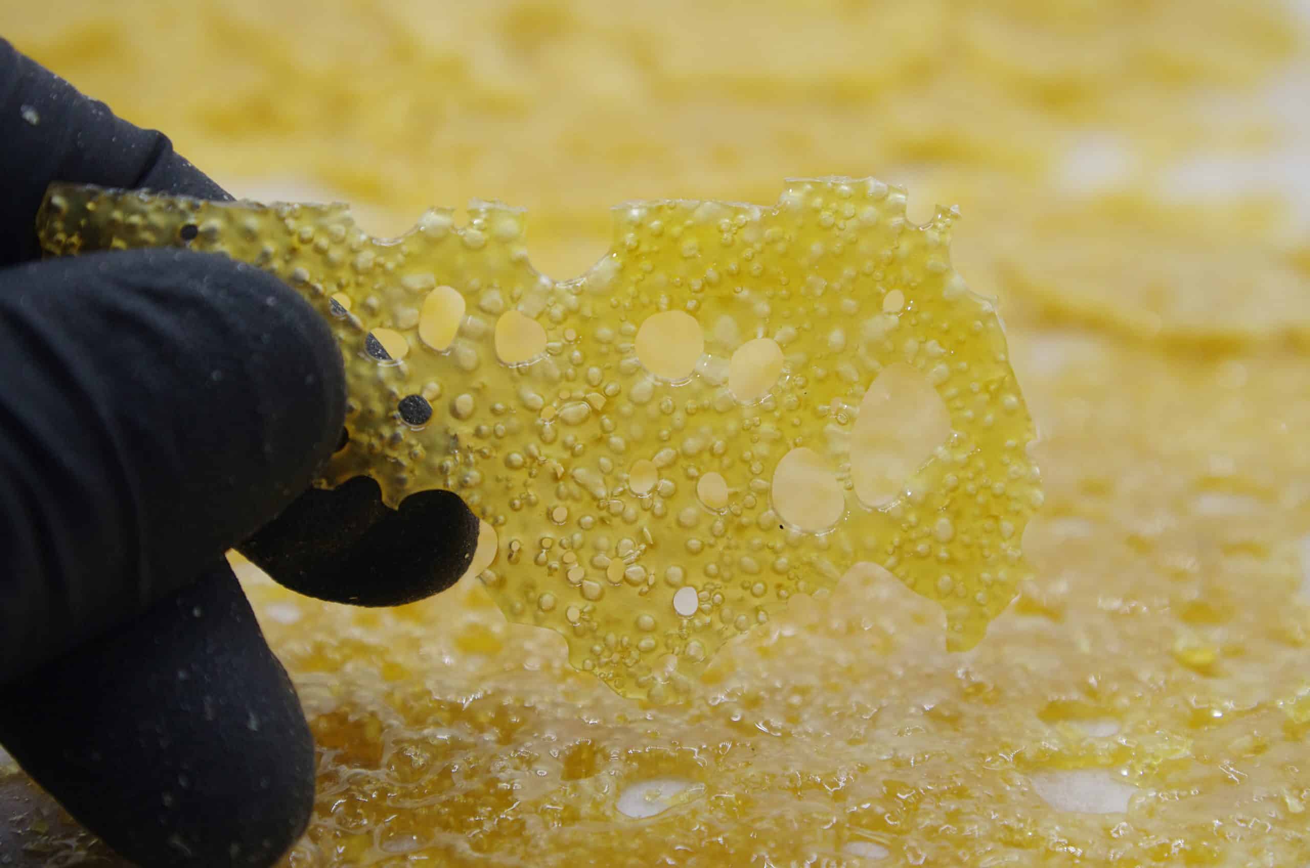 Congo Shatter Concentrates Congo Shatter Concentrates
