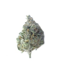 buy cookie wreck online