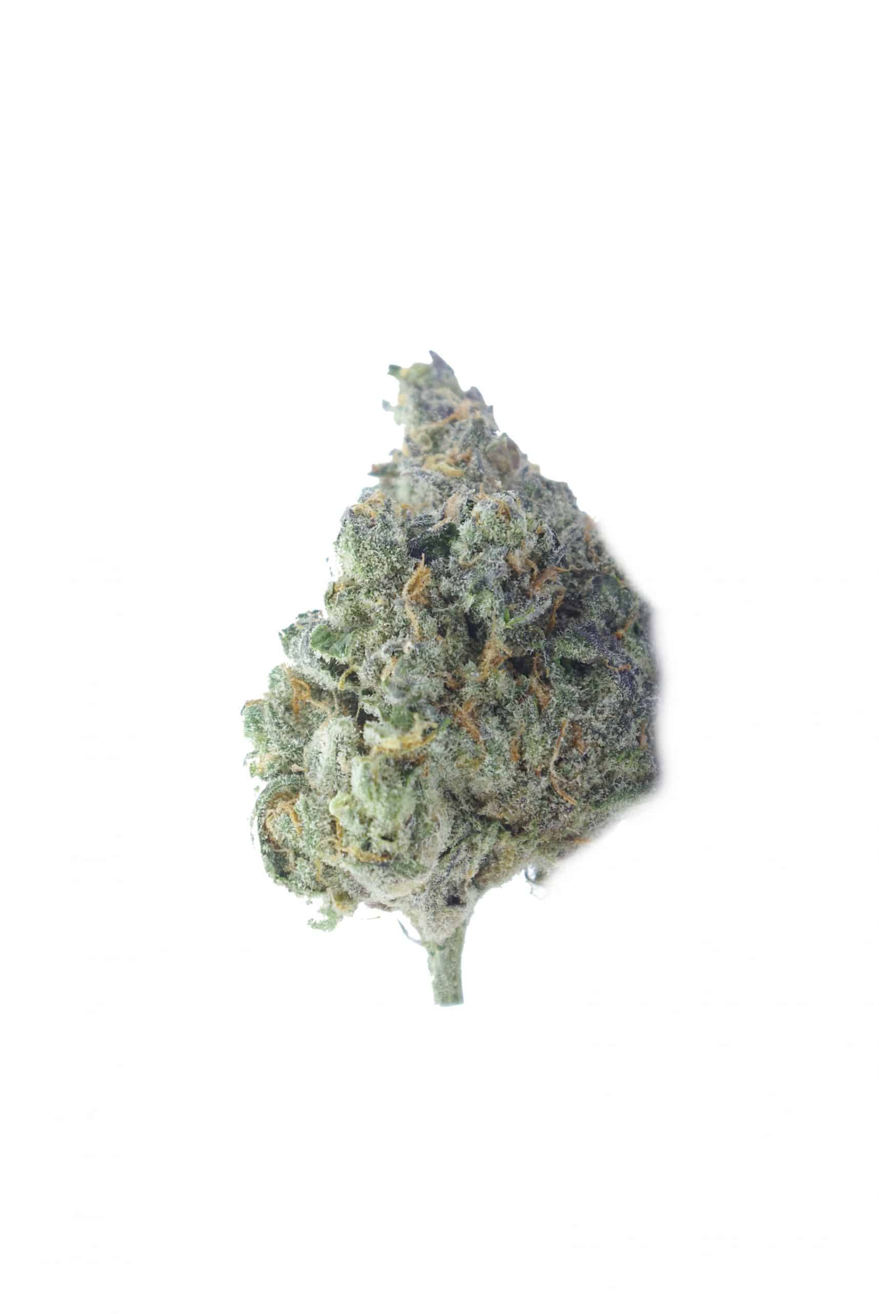 Cookie Wreck (Oz Special) All Strains anxiety Cookie Wreck (Oz Special) All Strains anxiety