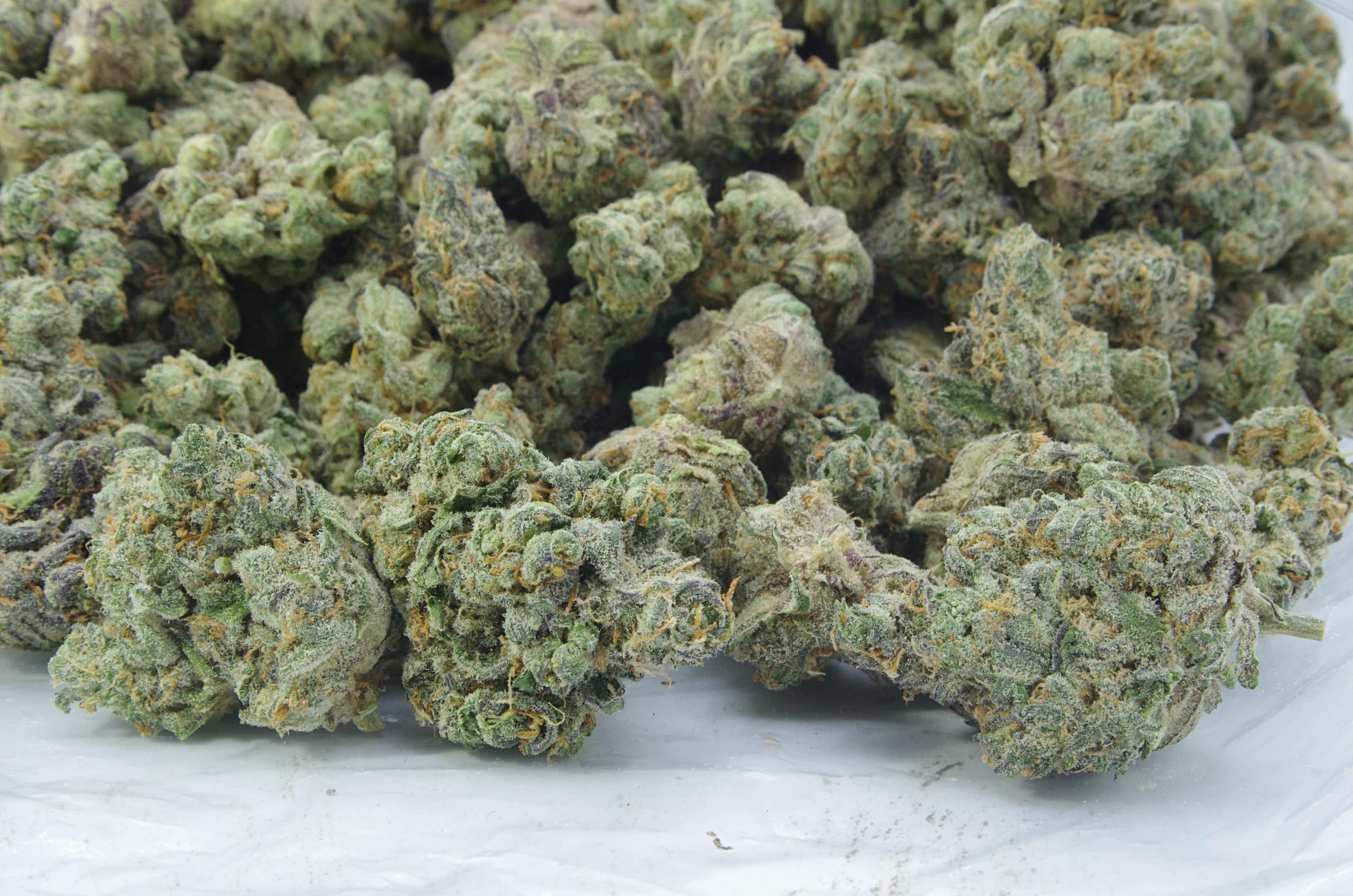 Cookie Wreck (Oz Special) All Strains anxiety Cookie Wreck (Oz Special) All Strains anxiety