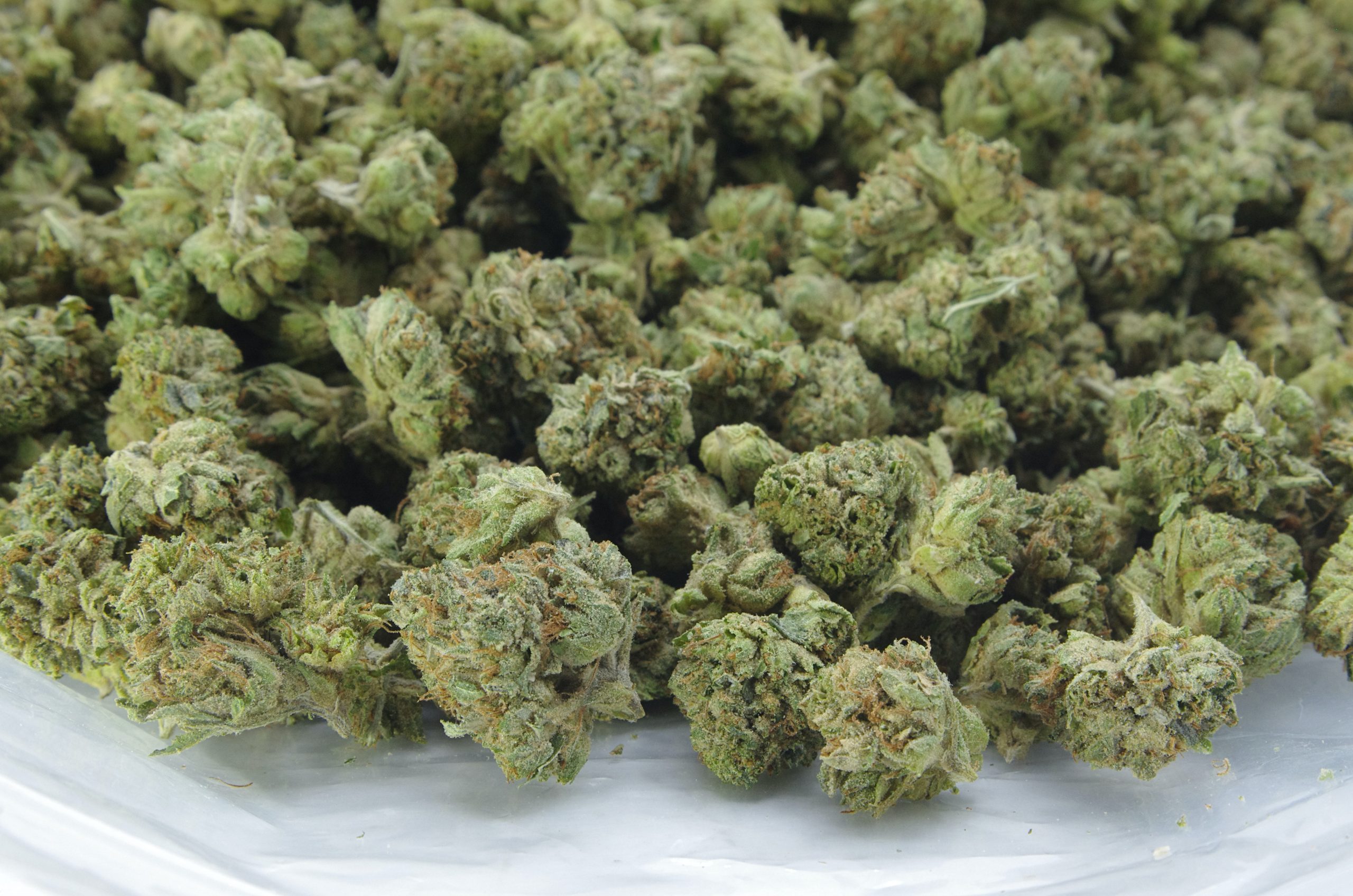 Death Bubba Smalls (Oz Special) Indica anti-anxiety Death Bubba Smalls (Oz Special) Indica anti-anxiety