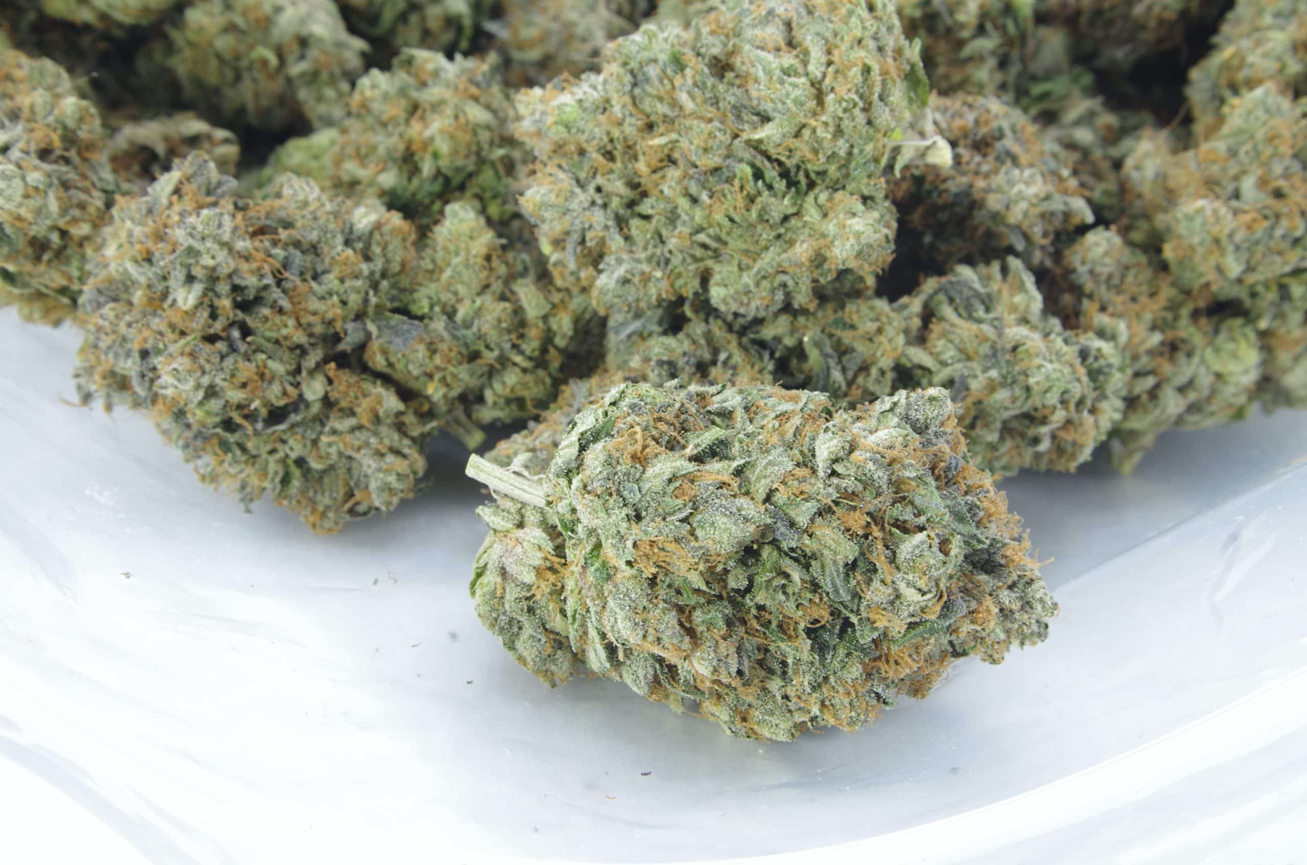 Death Bubba (Oz Special) Indica anti-anxiety Death Bubba (Oz Special) Indica anti-anxiety