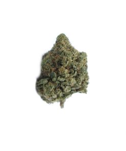 buy deathstar online
