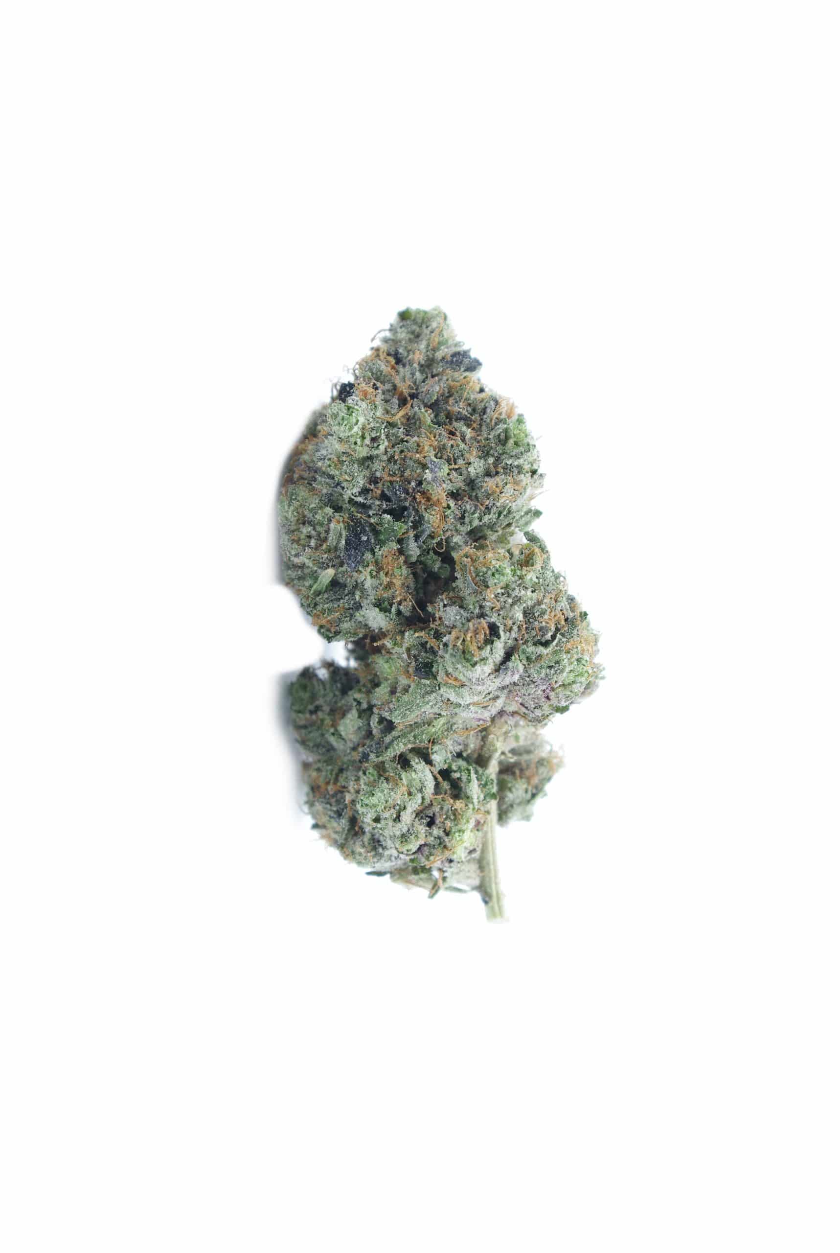 Diablo Pink (Oz Special) Indica anti-anxiety Diablo Pink (Oz Special) Indica anti-anxiety