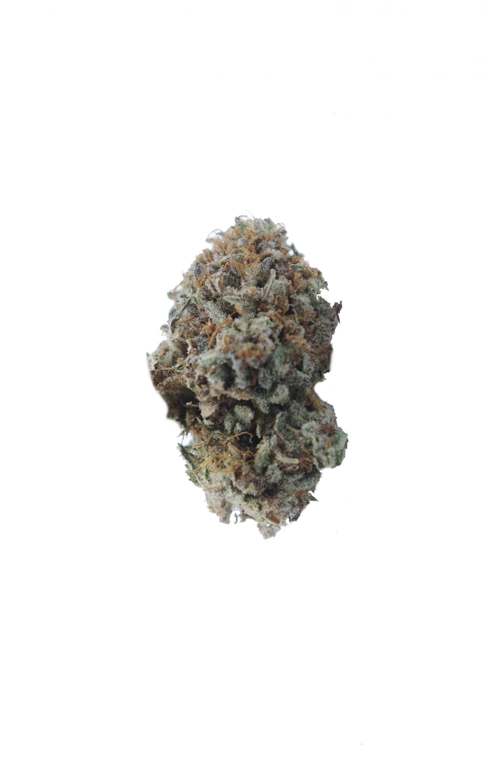 Glue Girl – LSO (Oz Special) All Strains anti-anxiety Glue Girl – LSO (Oz Special) All Strains anti-anxiety
