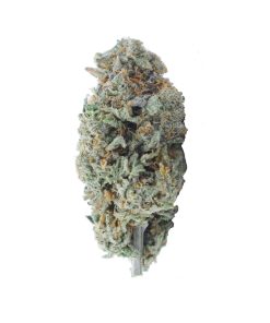 buy first class funk online