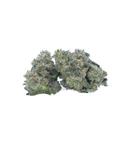 buy florida citrus kush online