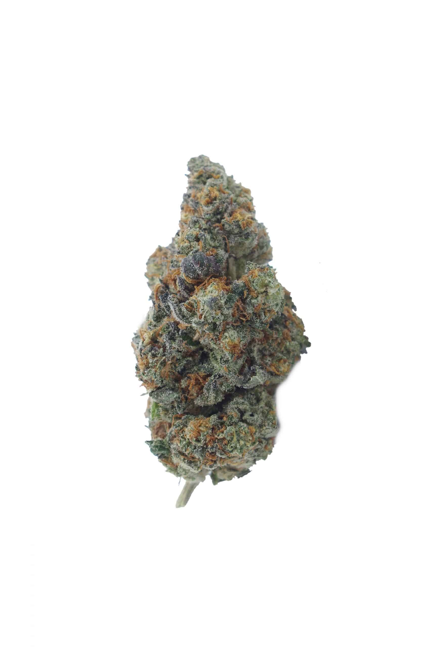 Garlic Cane (Oz Special) Hybrid anti-anxiety Garlic Cane (Oz Special) Hybrid anti-anxiety