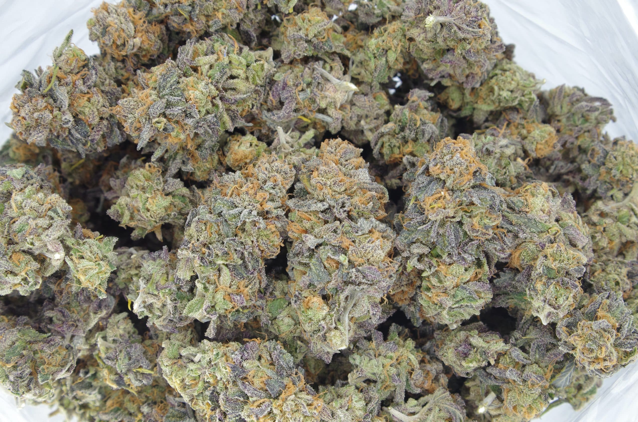 Van Island Exotics – Grape Face (3.5G) Hybrid anti-anxiety Van Island Exotics – Grape Face (3.5G) Hybrid anti-anxiety