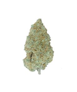buy gelato 33 online
