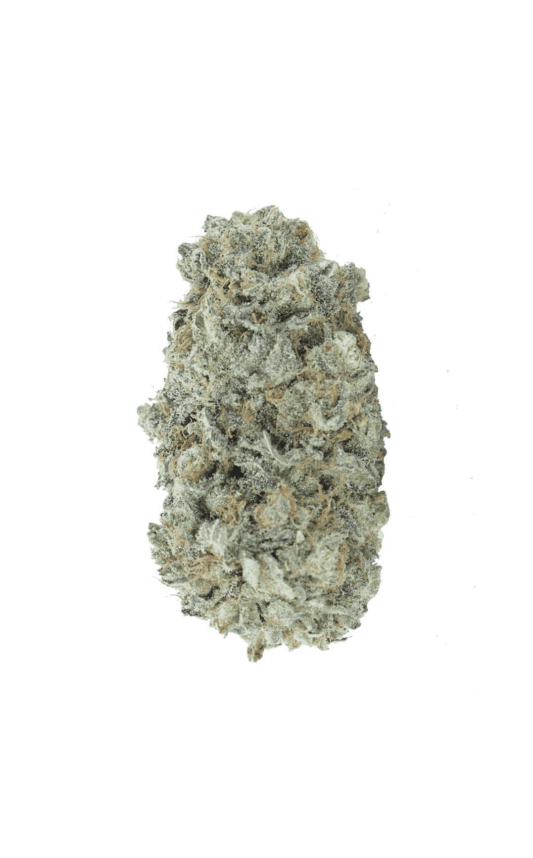 Gelato(Oz Special) Hybrid anti-anxiety Gelato(Oz Special) Hybrid anti-anxiety
