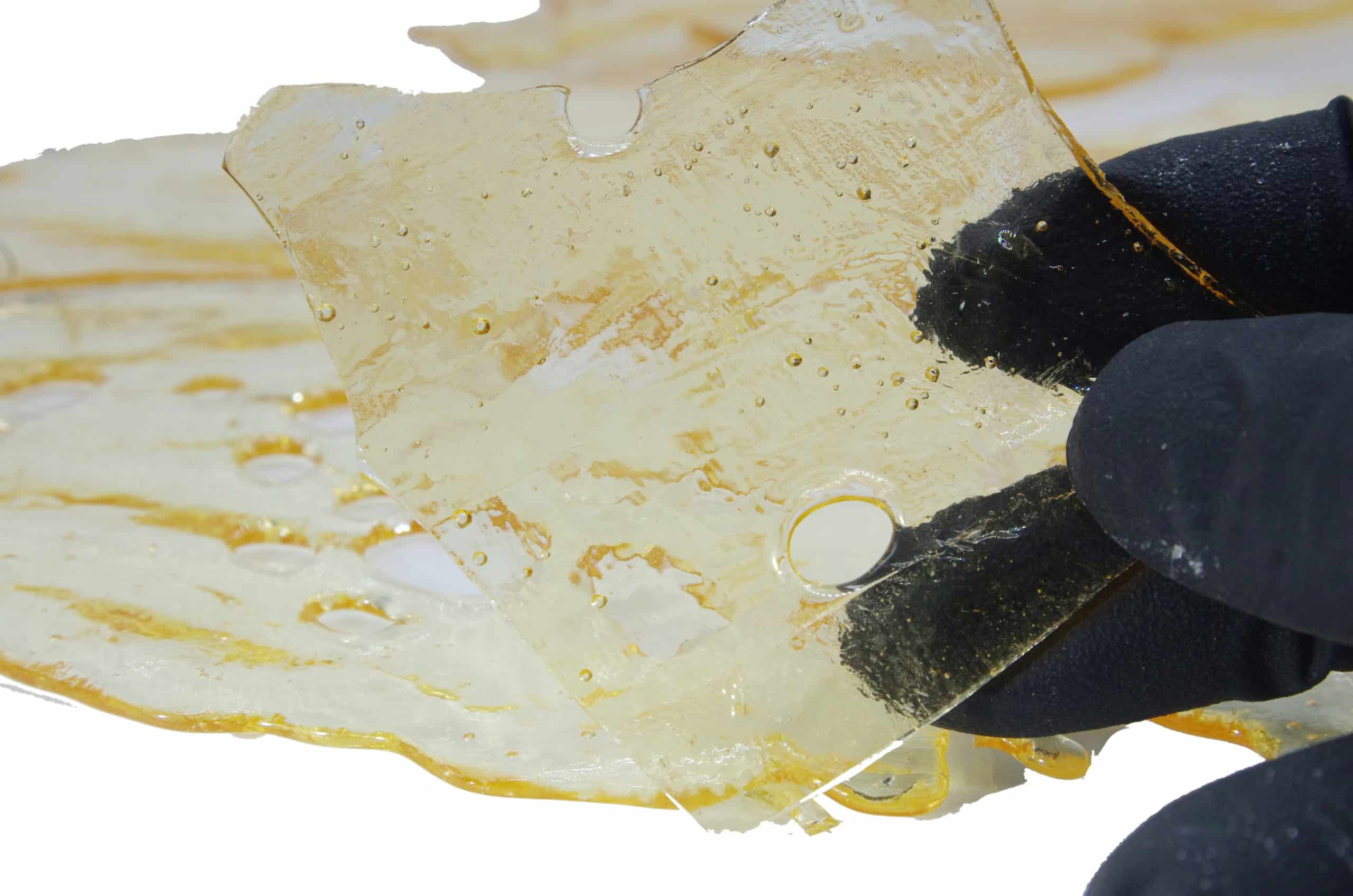 Gelato Shatter Concentrates Gelato Shatter Concentrates