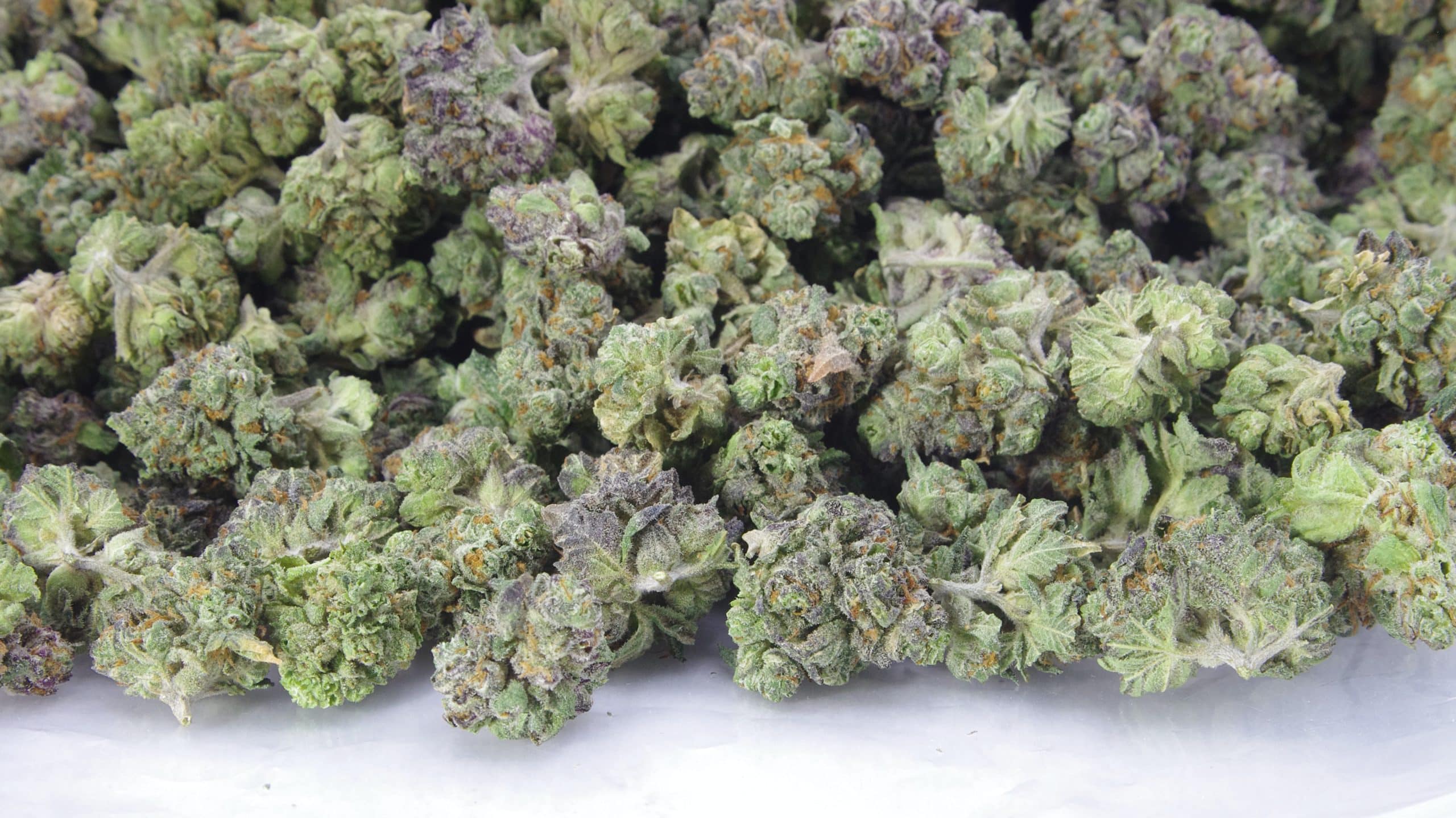Gelato Smalls (Oz Special) All Strains Gelato Smalls (Oz Special) All Strains