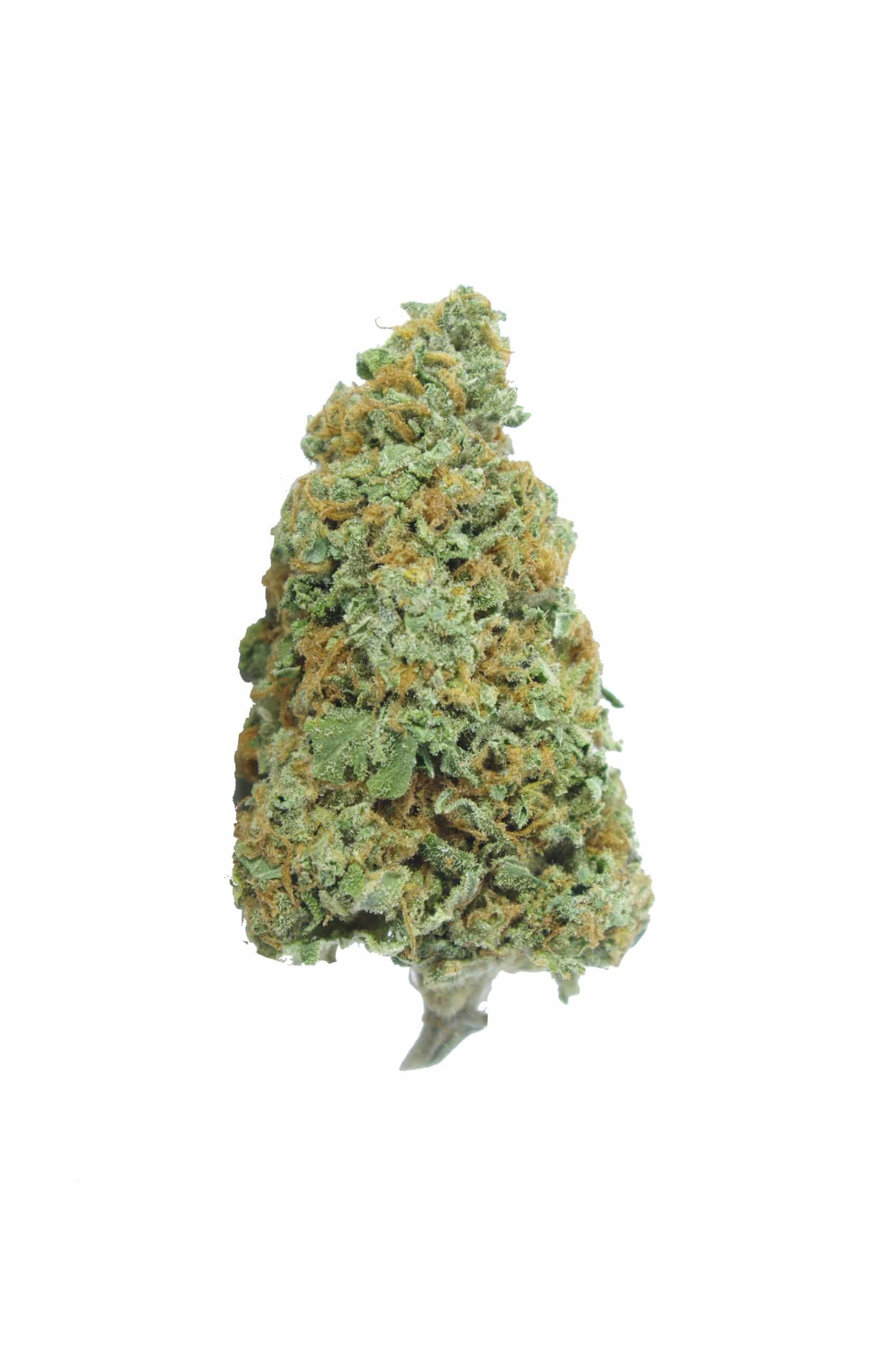 Ghost Train Haze All Strains Ghost Train Haze All Strains