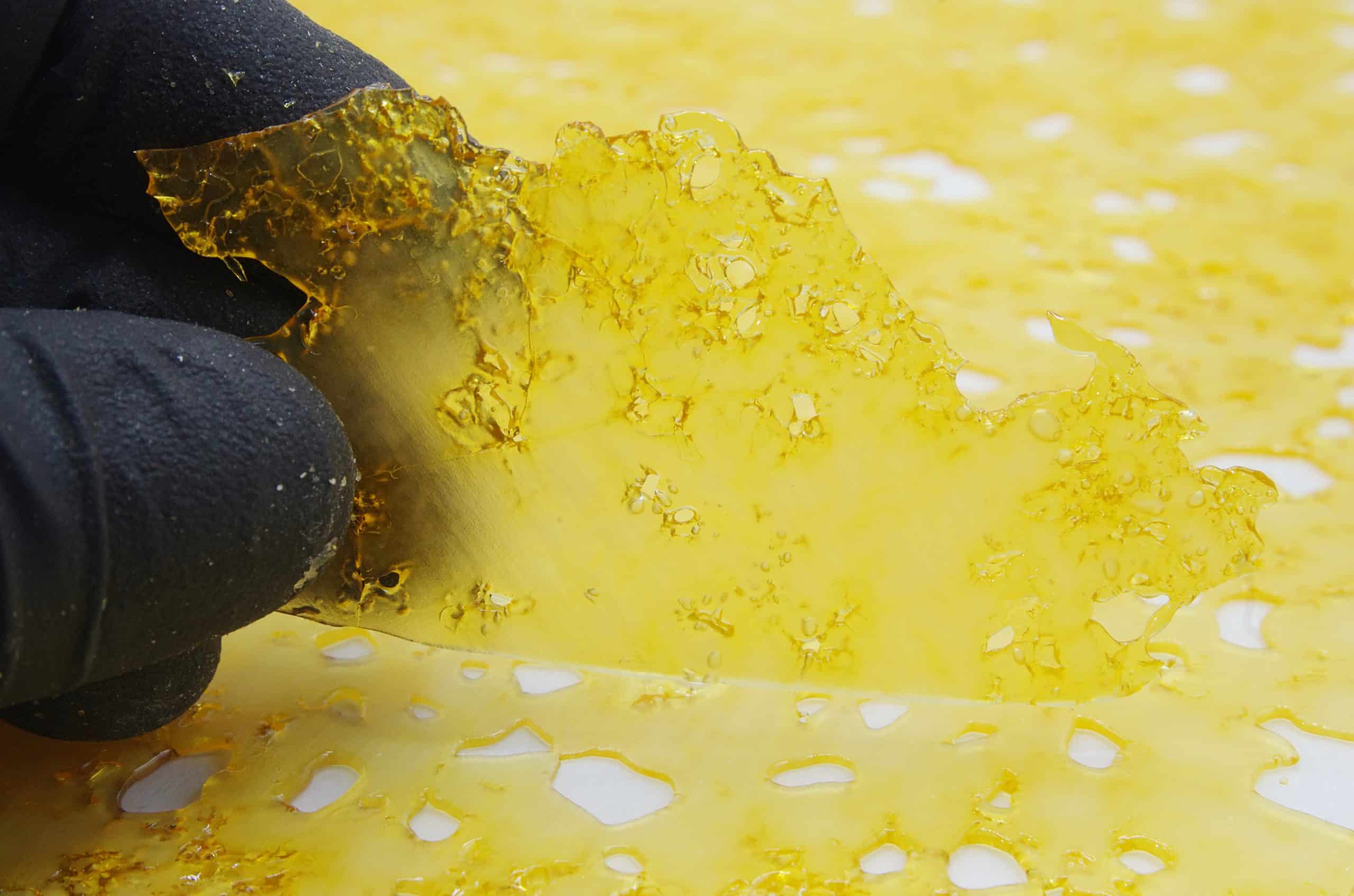 God Bud Shatter Concentrates God Bud Shatter Concentrates