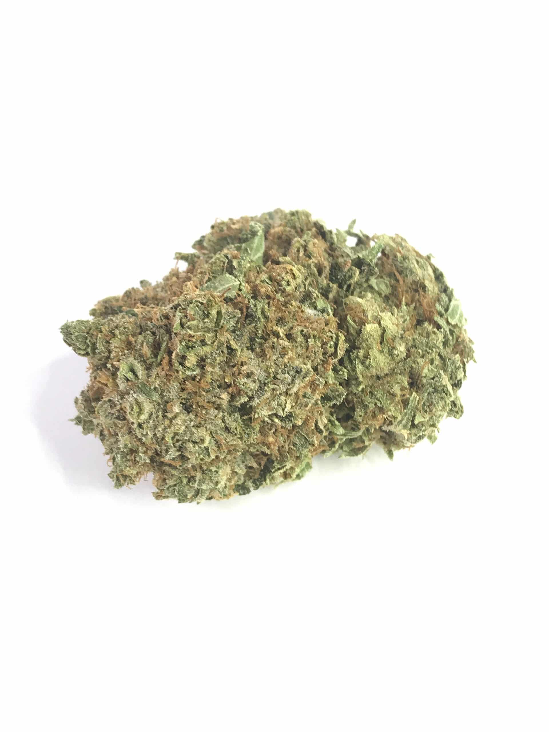 Gorilla Glue (GG4) All Strains anxiety Gorilla Glue (GG4) All Strains anxiety
