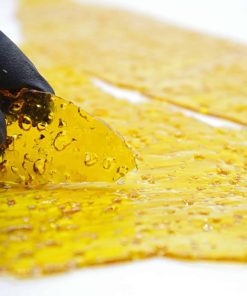 buy gorilla glue online