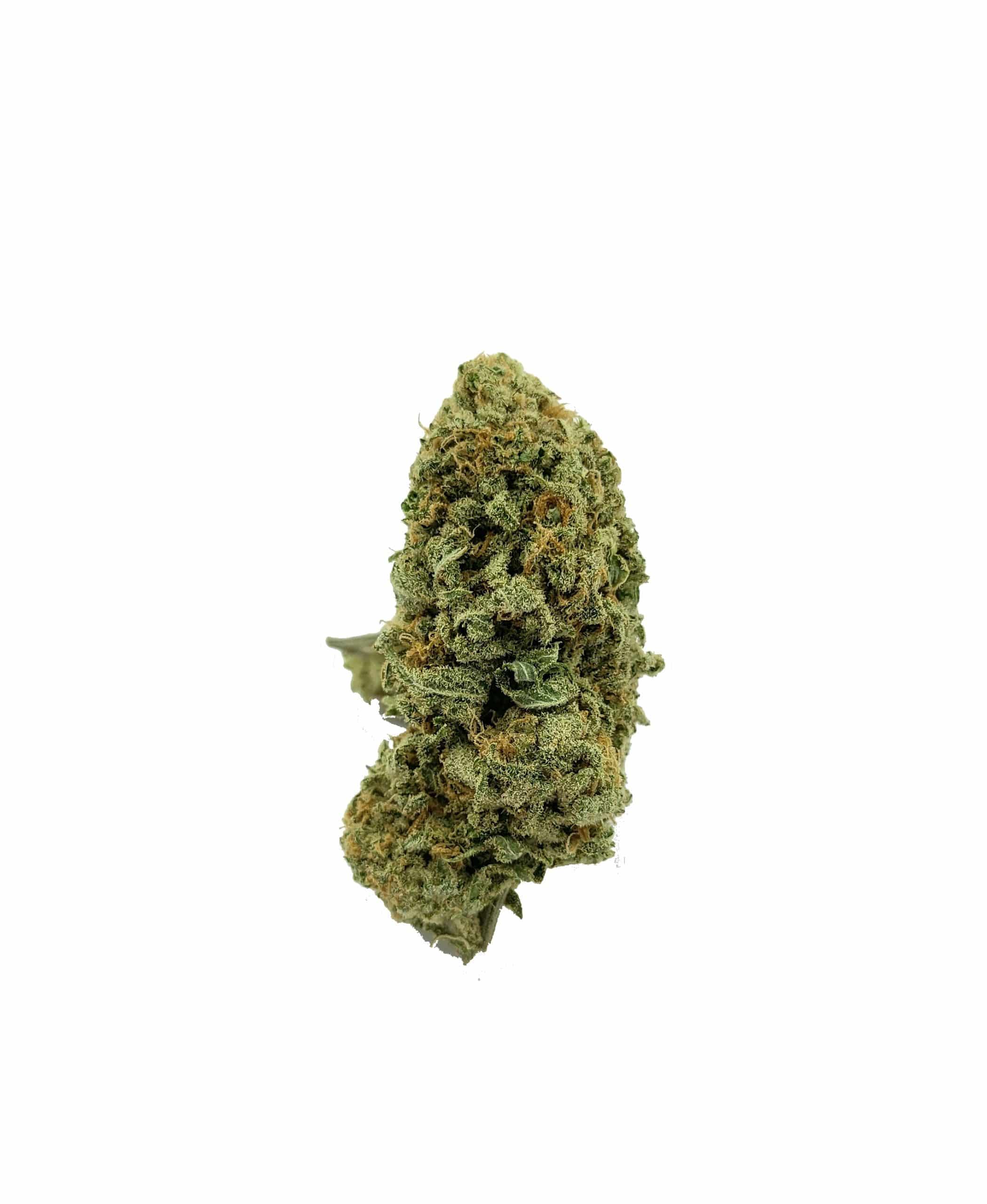 Gorilla Pepper (oz special) Hybrid anxiety Gorilla Pepper (oz special) Hybrid anxiety
