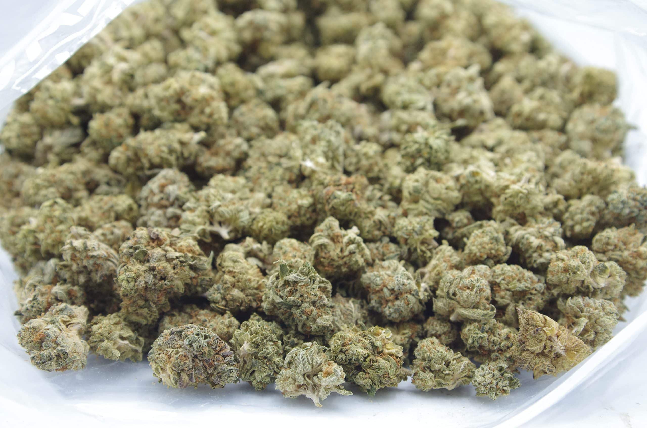 Greasy Runtz Mids (Oz Special) Hybrid anti-anxiety Greasy Runtz Mids (Oz Special) Hybrid anti-anxiety