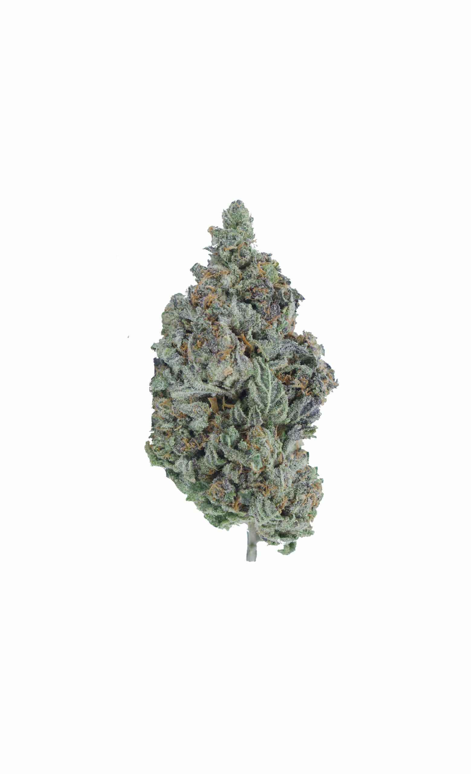 Grape Gas (Oz Special) All Strains Grape Gas (Oz Special) All Strains