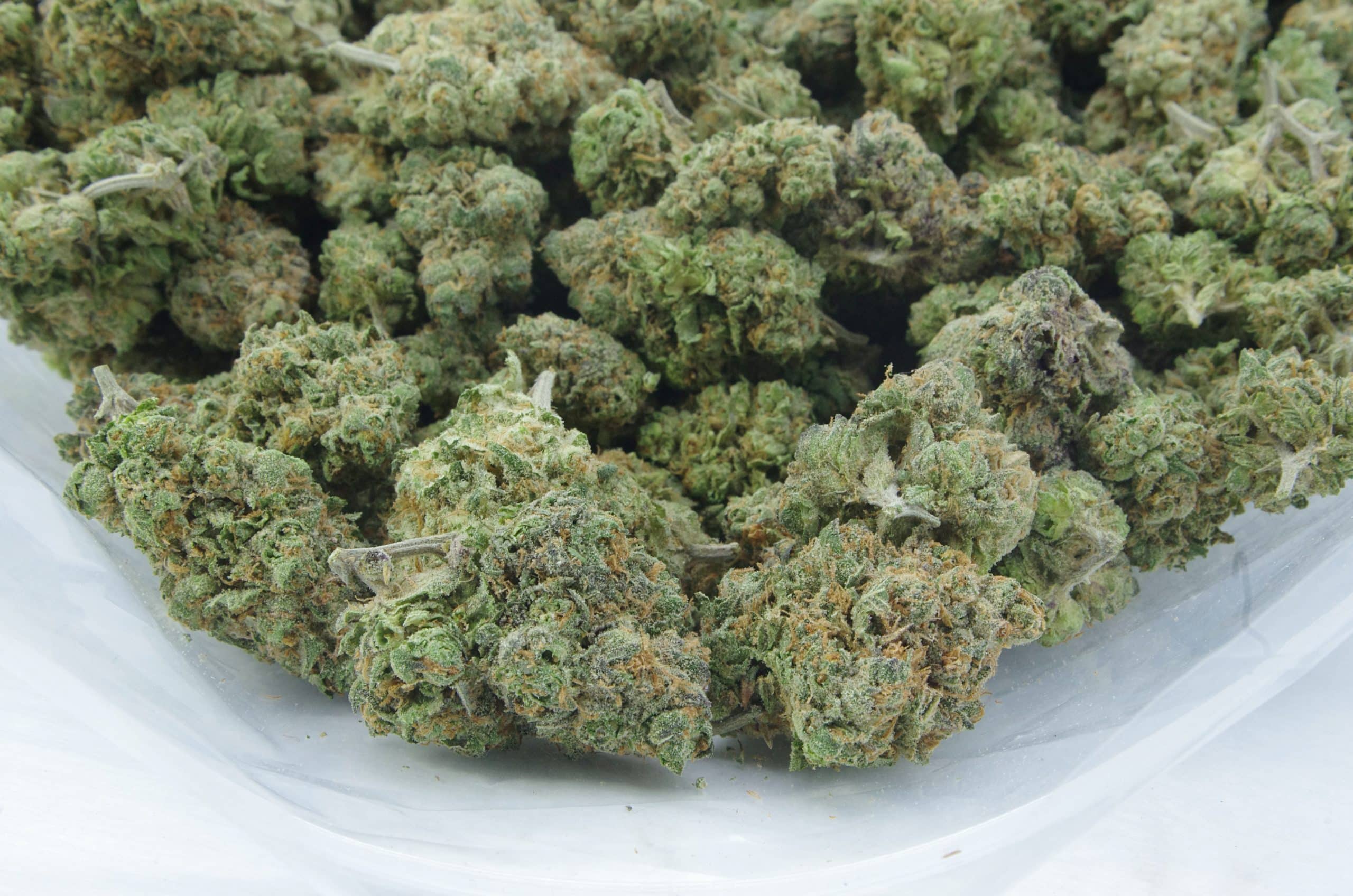 Grape Pie (Oz Special) All Strains anti-anxiety Grape Pie (Oz Special) All Strains anti-anxiety