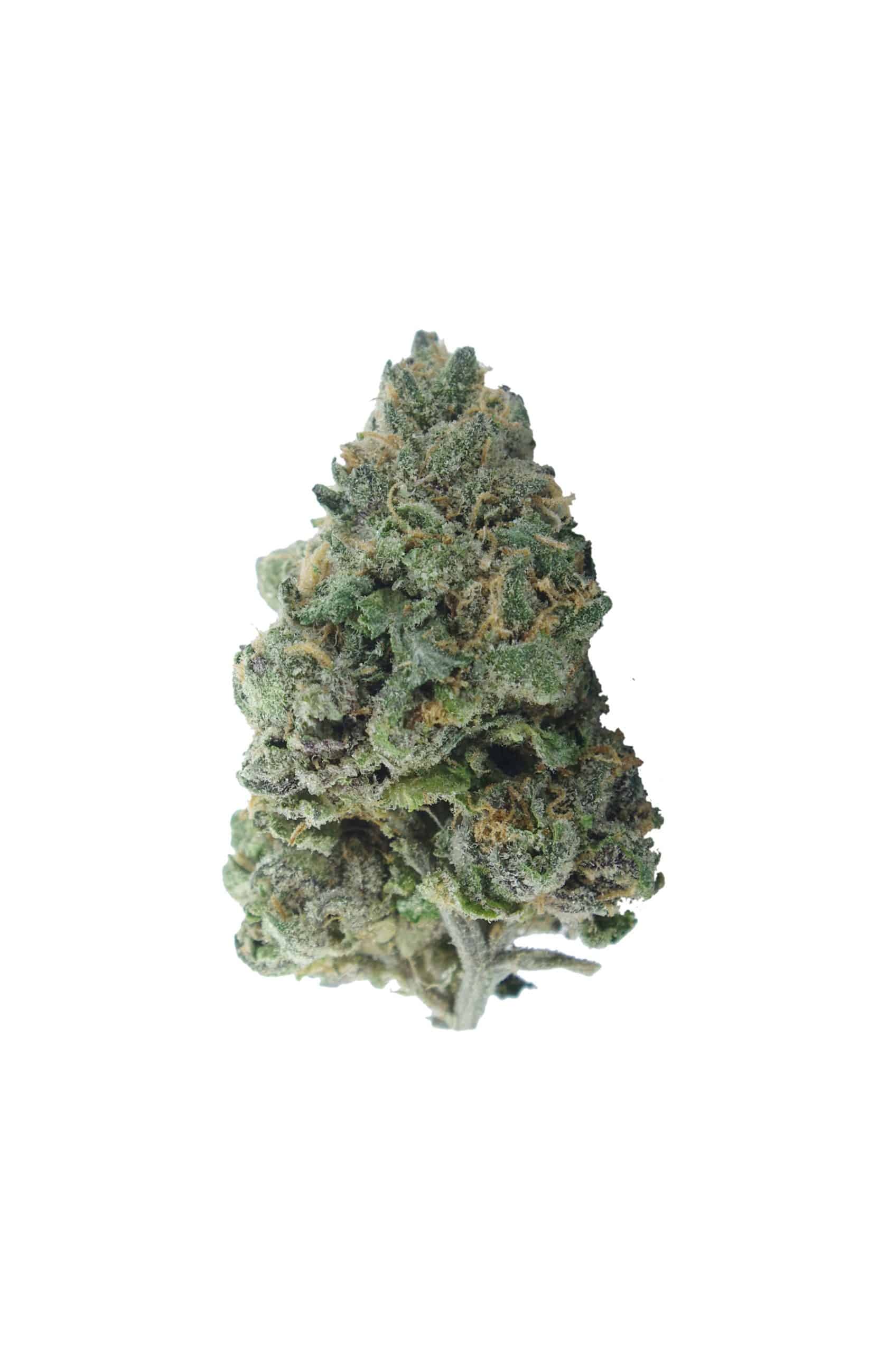 Grape Pie (Oz Special) All Strains anti-anxiety Grape Pie (Oz Special) All Strains anti-anxiety