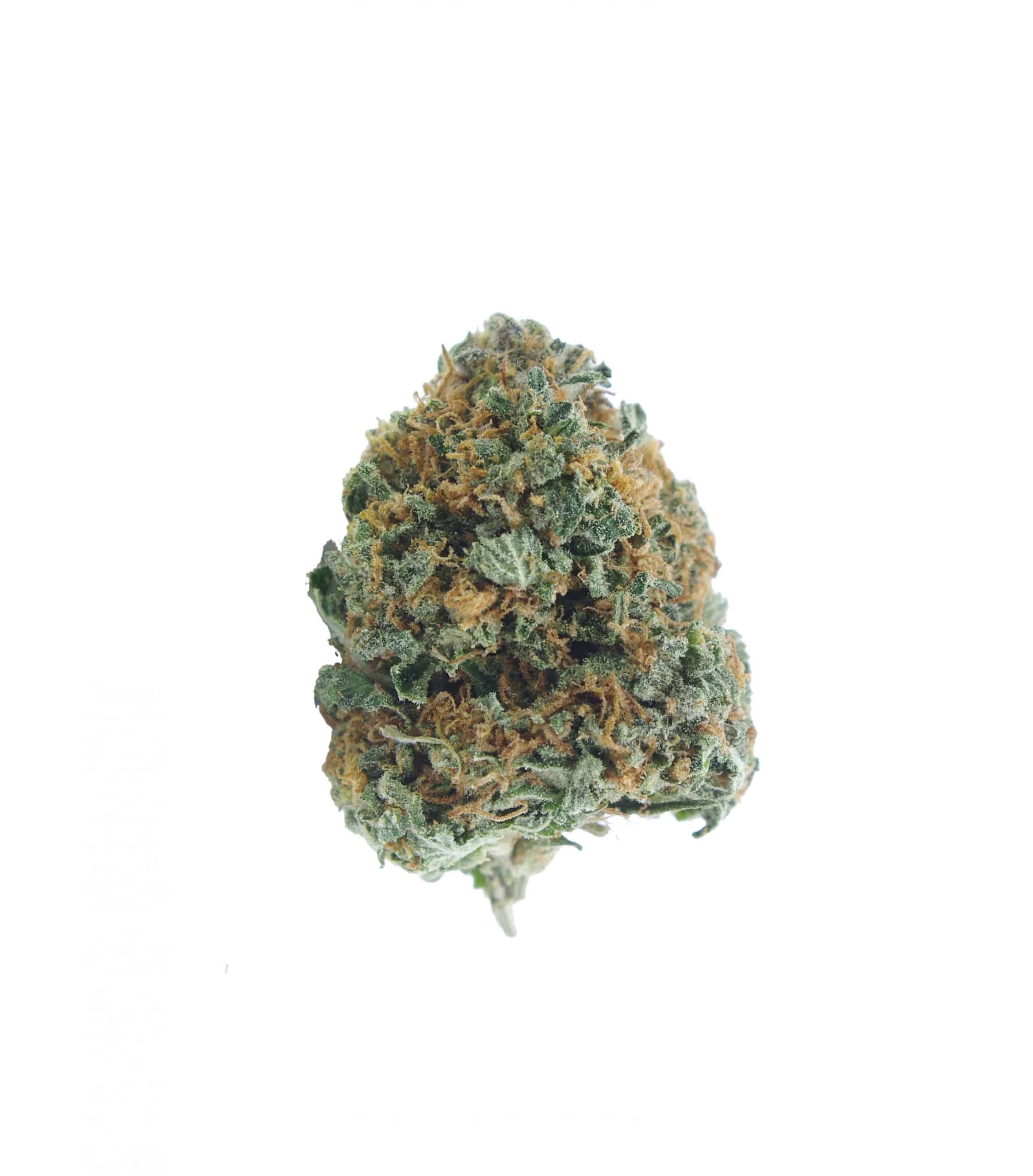 Grease Monkey (Oz Special) Hybrid anti-anxiety Grease Monkey (Oz Special) Hybrid anti-anxiety