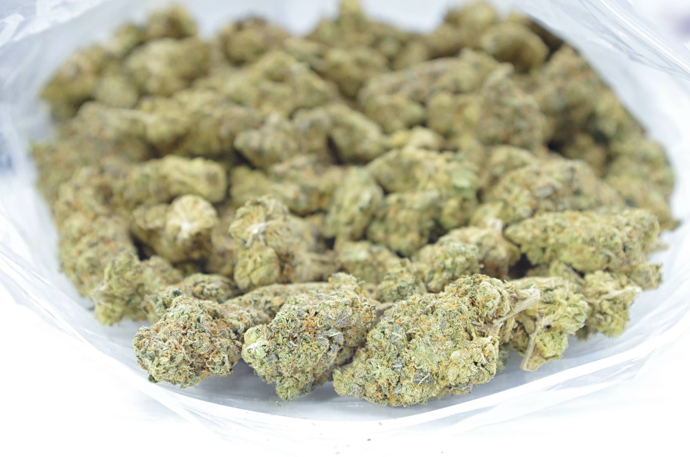 Greasy Runtz (Oz Special) Hybrid anti-anxiety Greasy Runtz (Oz Special) Hybrid anti-anxiety