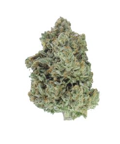 buy greasy pink online