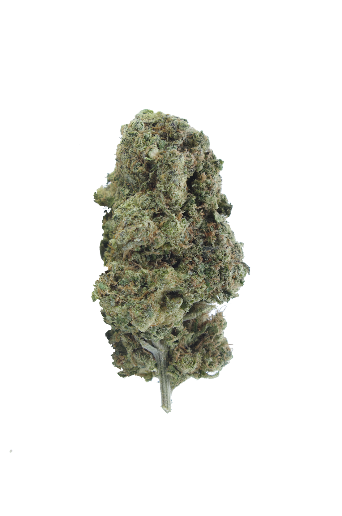 Guava God (Oz Special) All Strains anti-anxiety Guava God (Oz Special) All Strains anti-anxiety