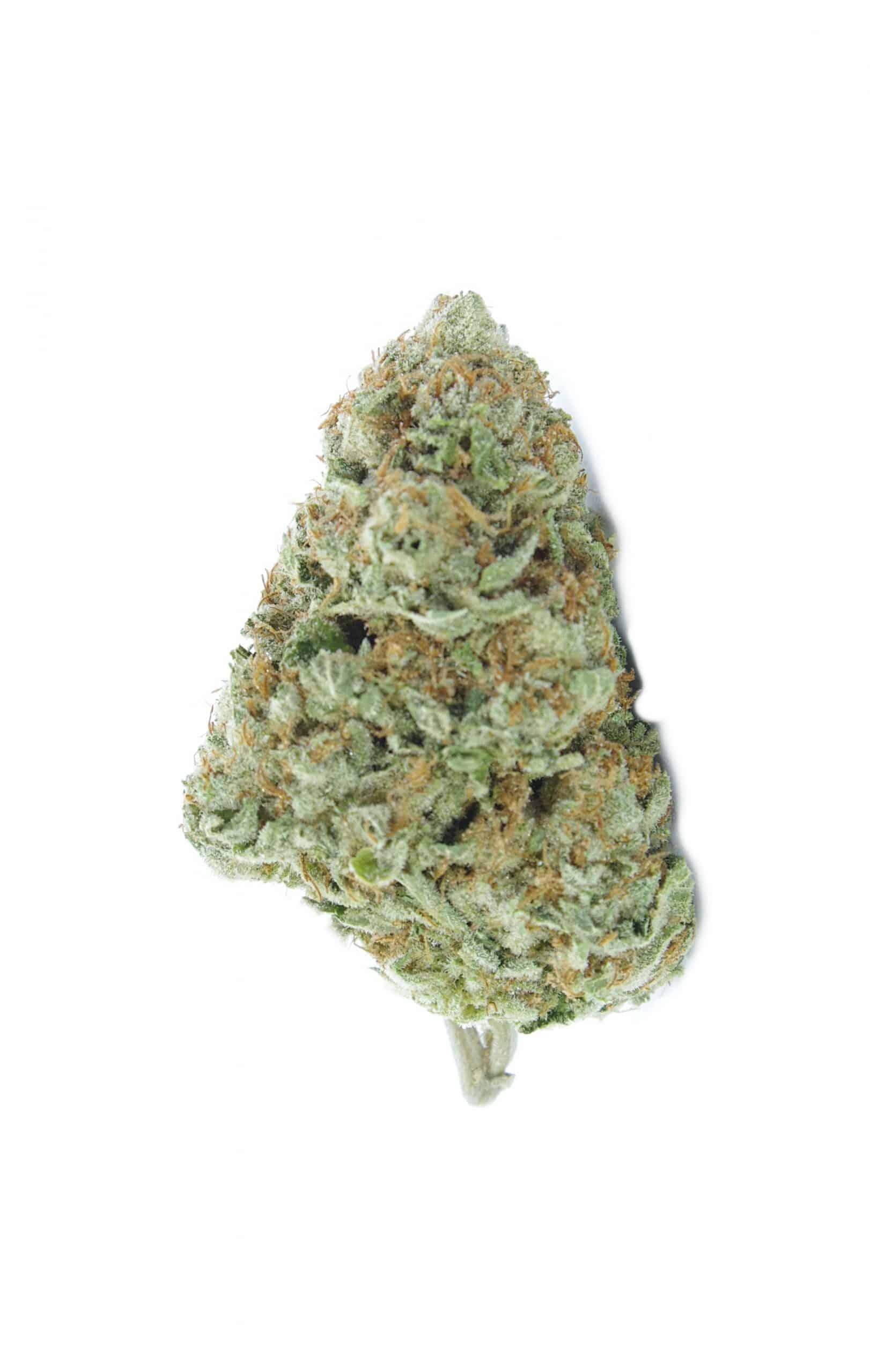 Headband All Strains anti-anxiety Headband All Strains anti-anxiety