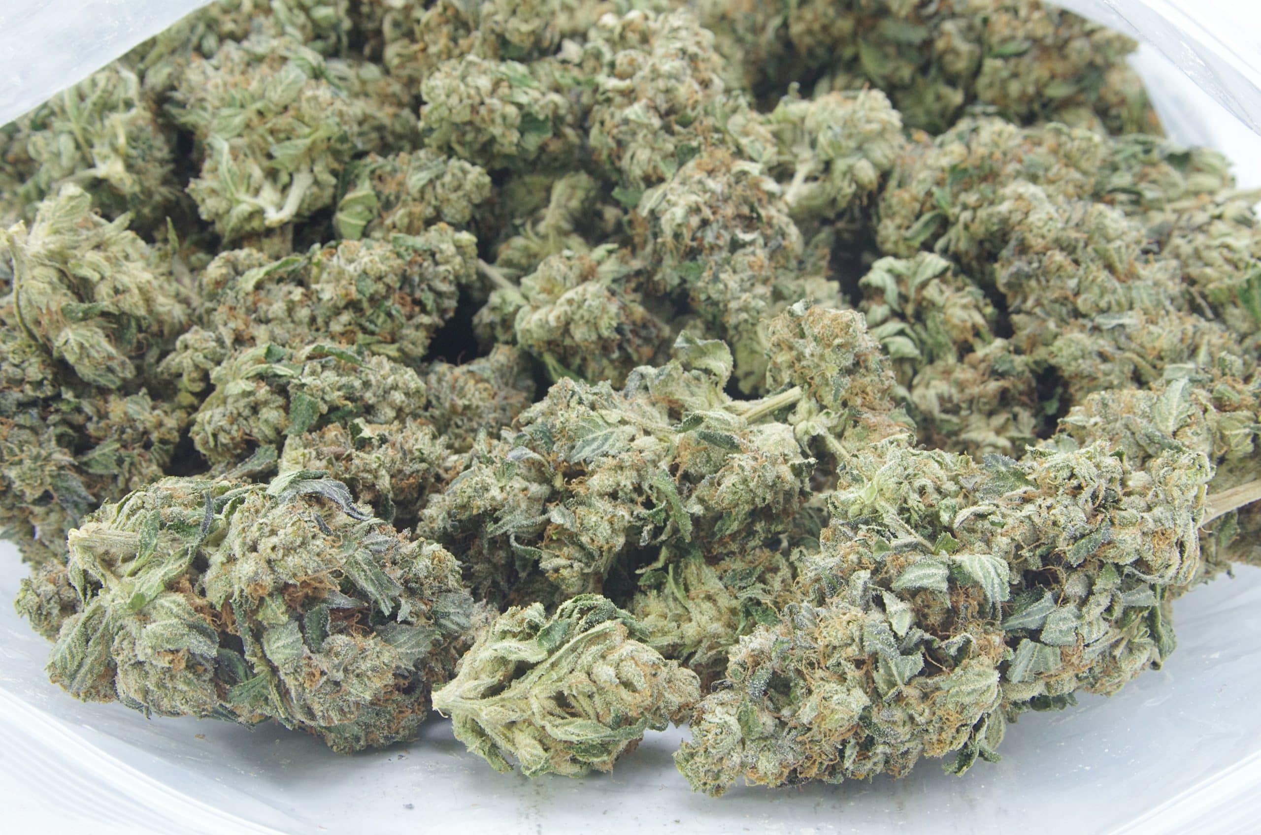 Hindu Kush (Oz Special) Indica anxiety Hindu Kush (Oz Special) Indica anxiety