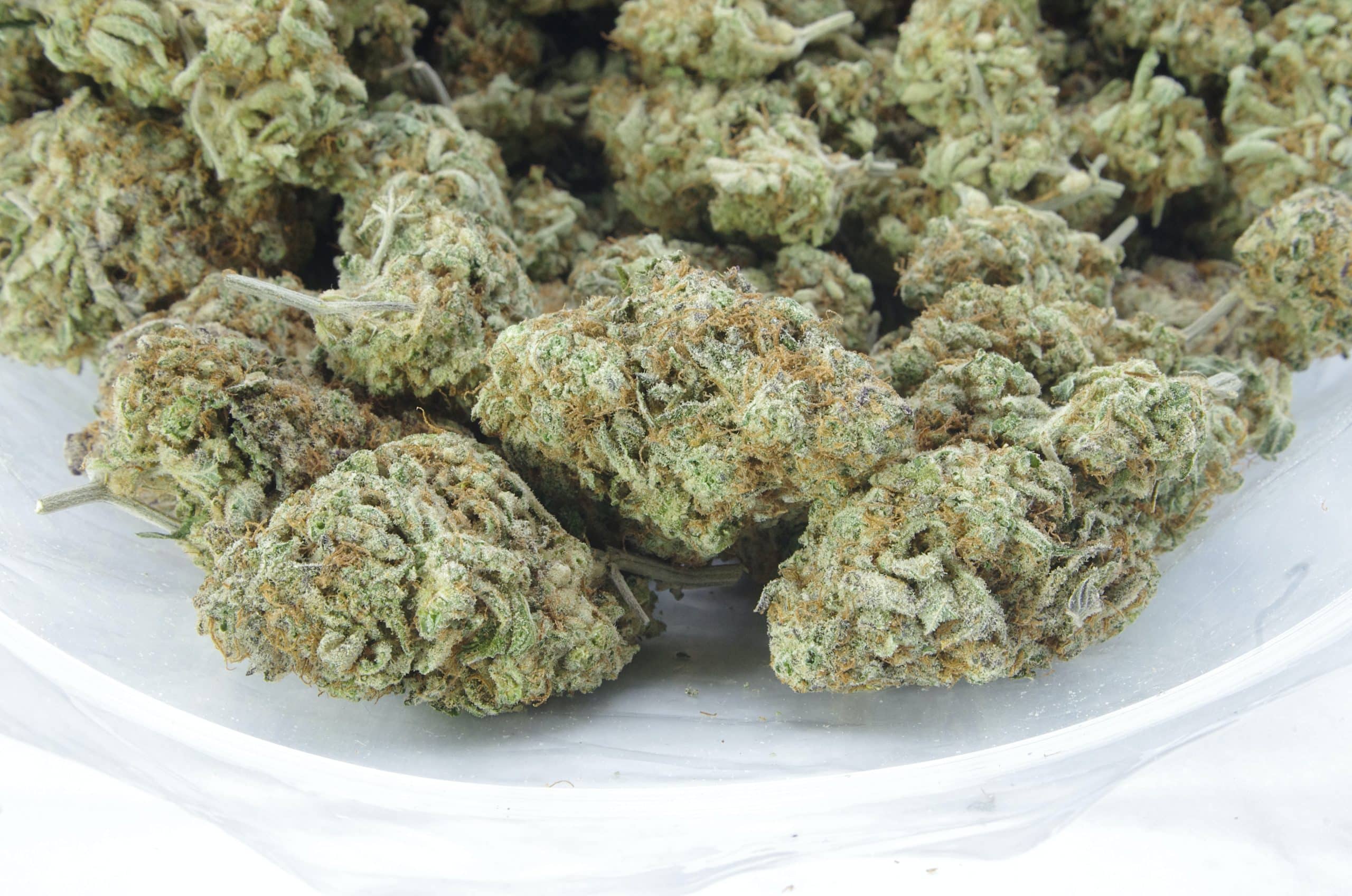 Ice Wreck (Oz Special) All Strains Ice Wreck (Oz Special) All Strains